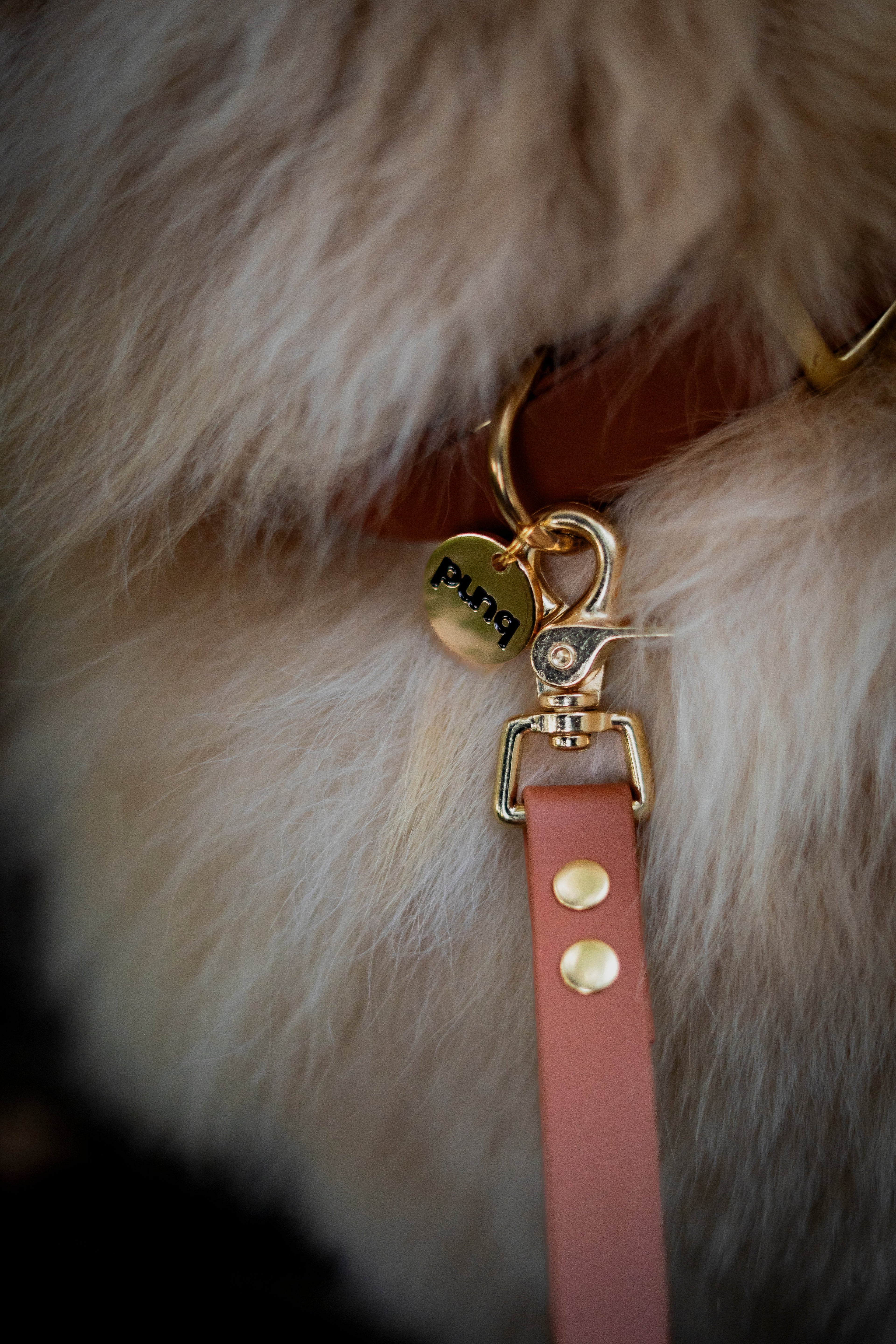 Van idee naar product