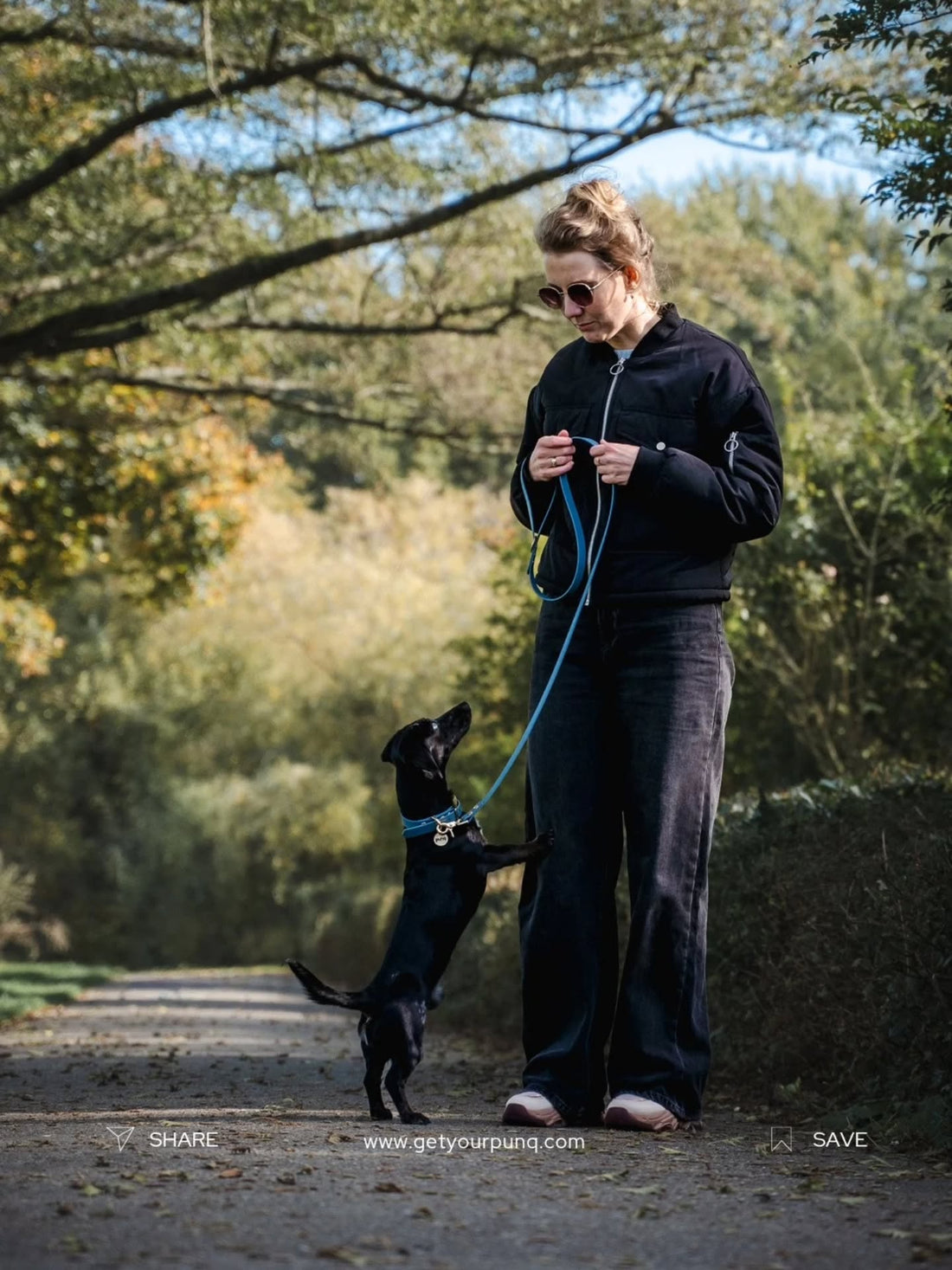 Hoe vaak moet je een hond uitlaten?