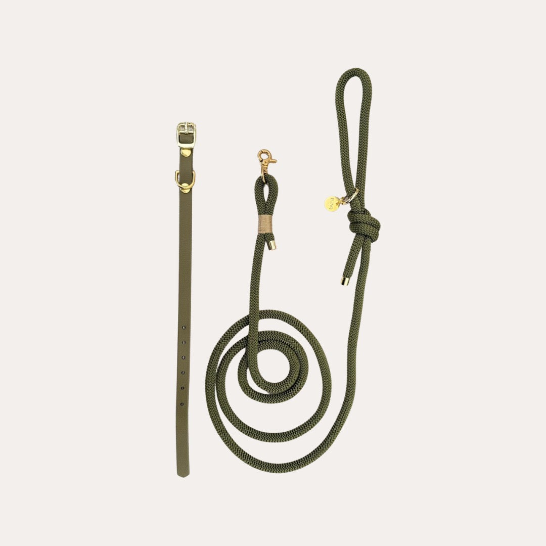 Bundel Puppy | Halsband, Riem & Cadeaubon | punq