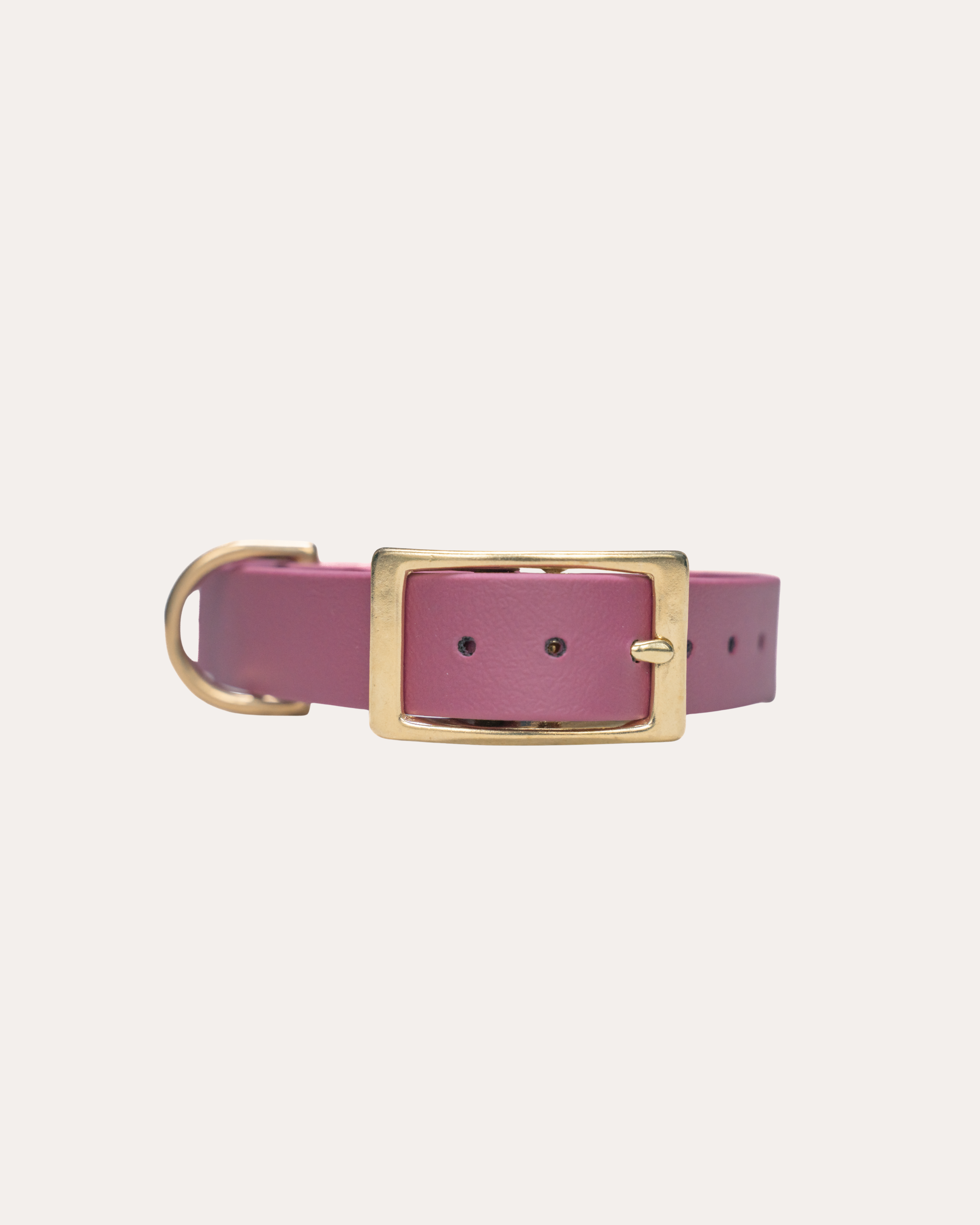 WINE RED | HONDENHALSBAND | messing gesp