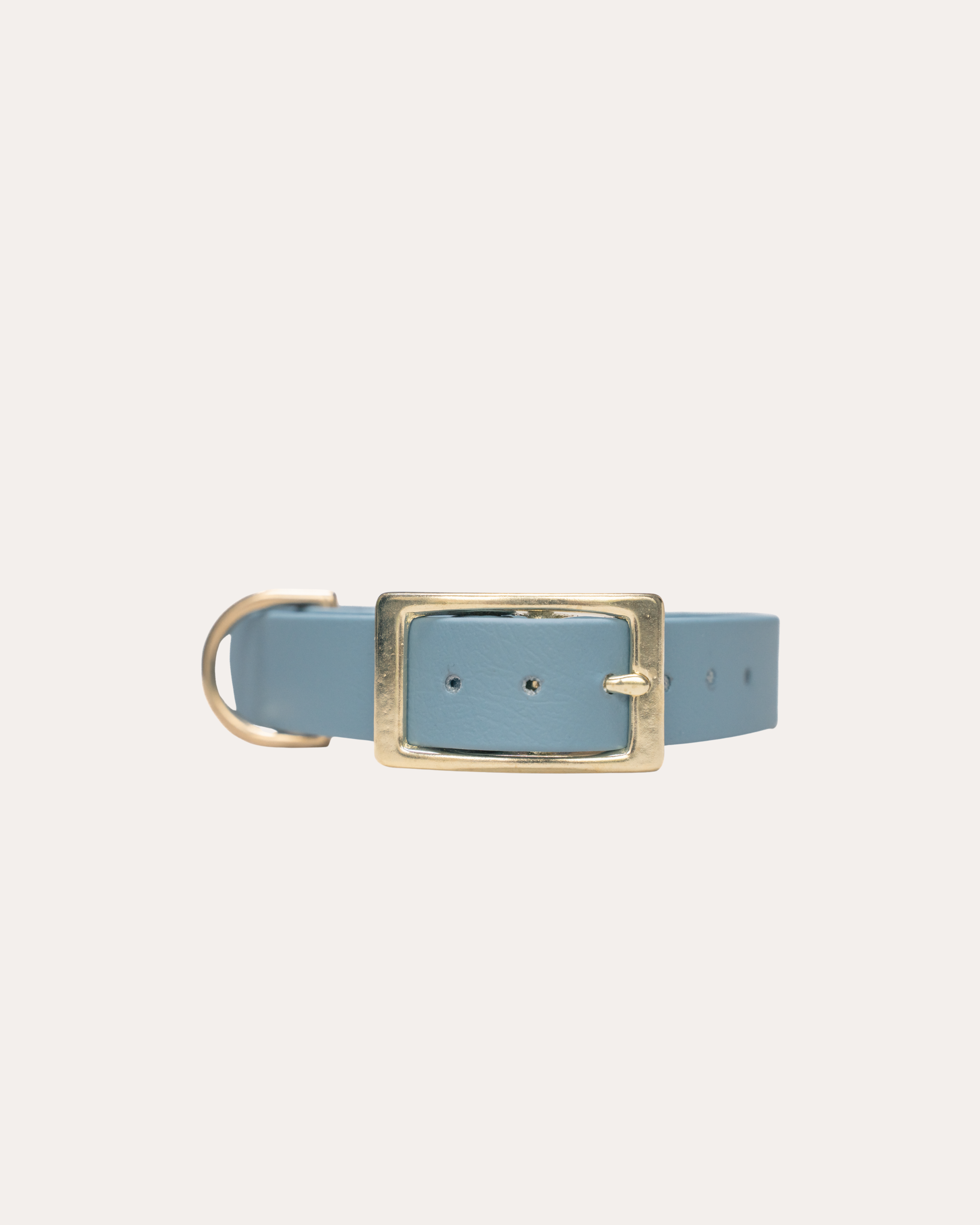 PETROL BLUE | HONDENHALSBAND | messing gesp