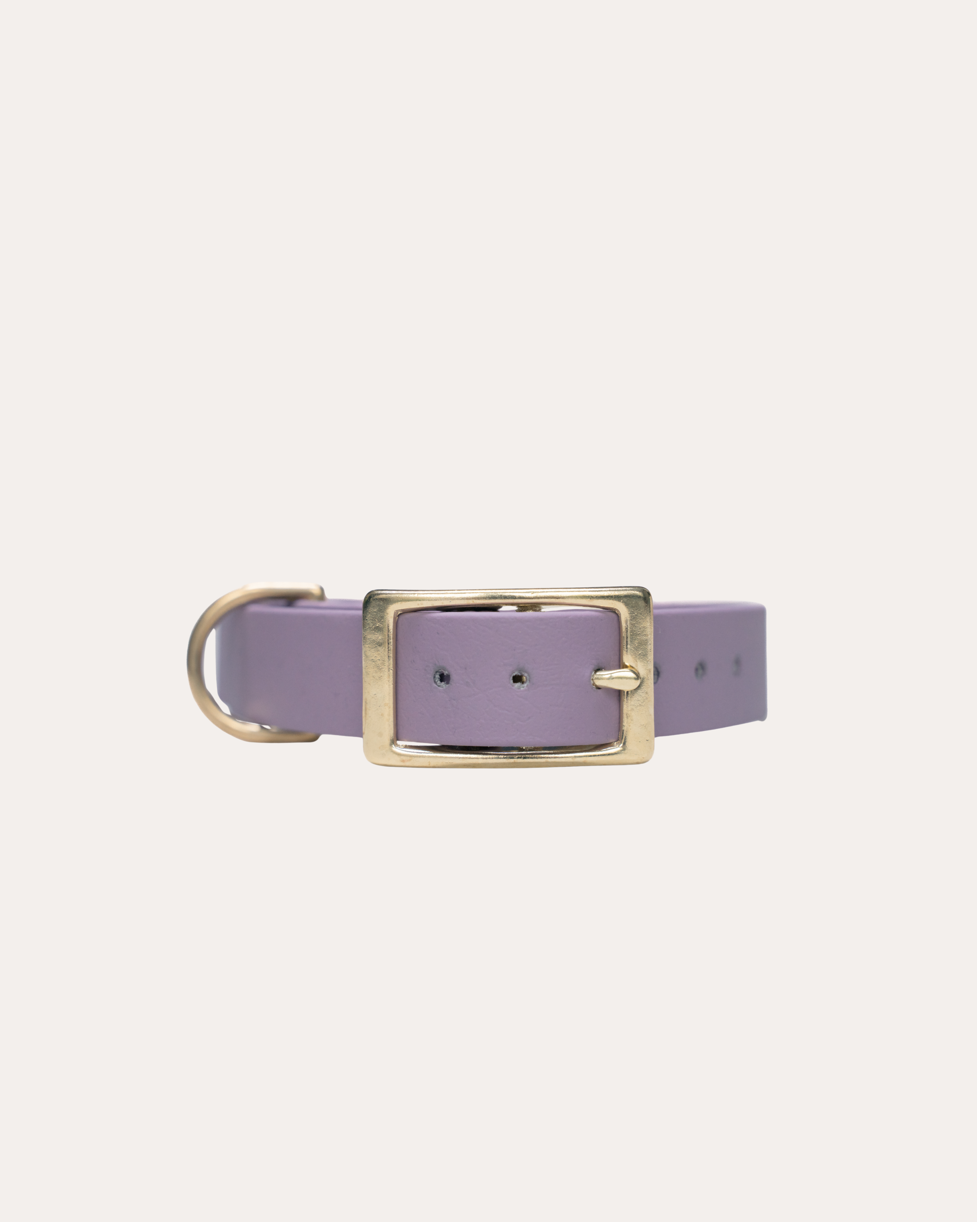 LIGHT PURPLE | HONDENHALSBAND | messing gesp