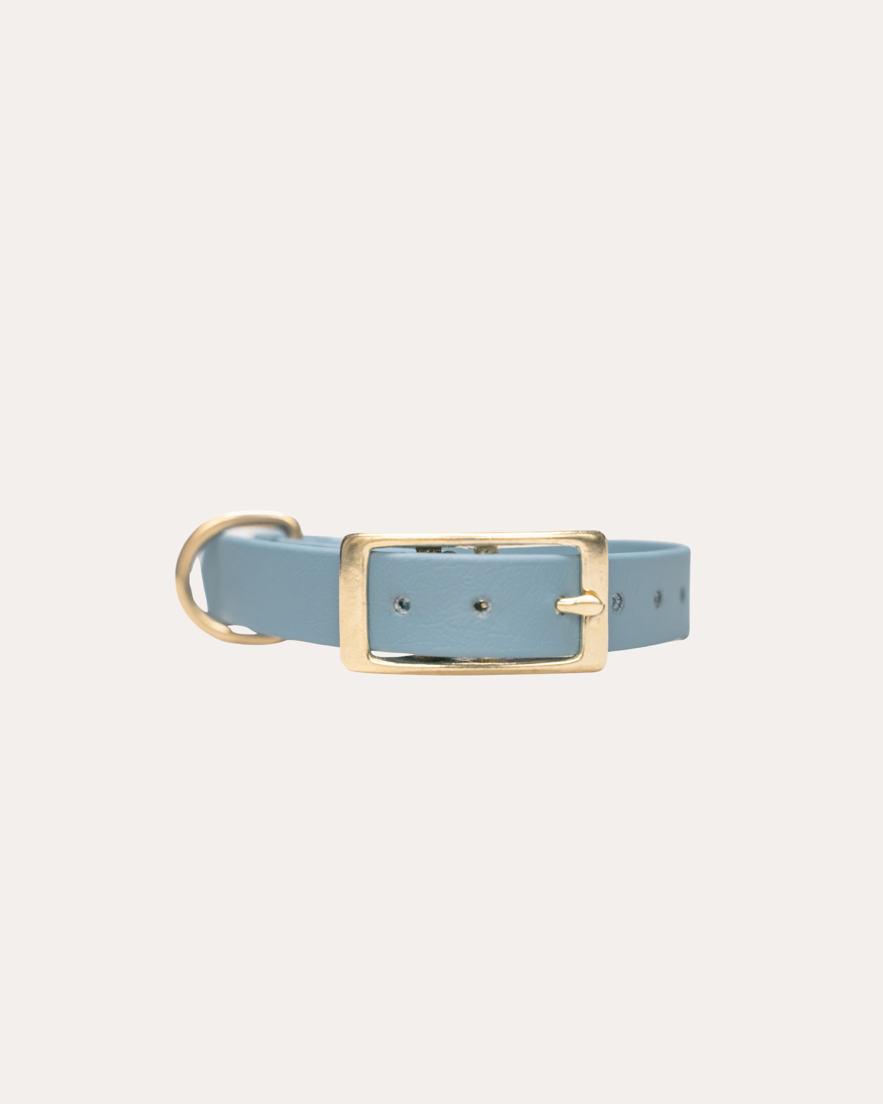 PETROL BLUE | HONDENHALSBAND | messing gesp