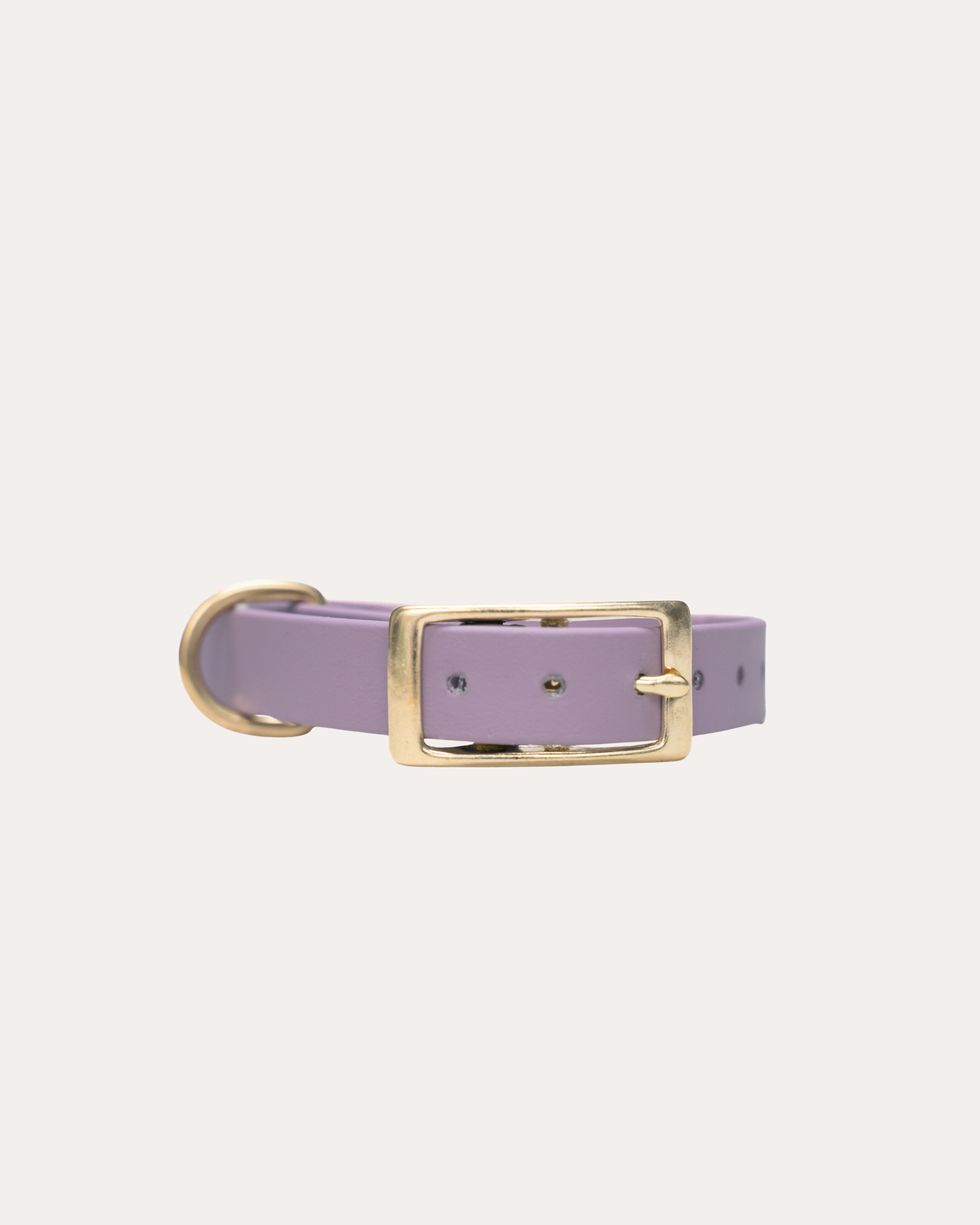 LIGHT PURPLE | HONDENHALSBAND | messing gesp
