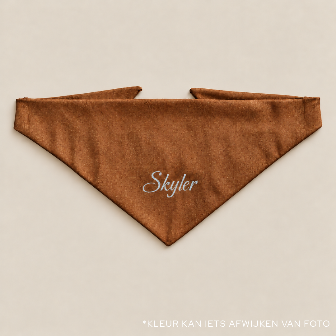Gepersonaliseerde Denim Hondenbandana met Naam | punq