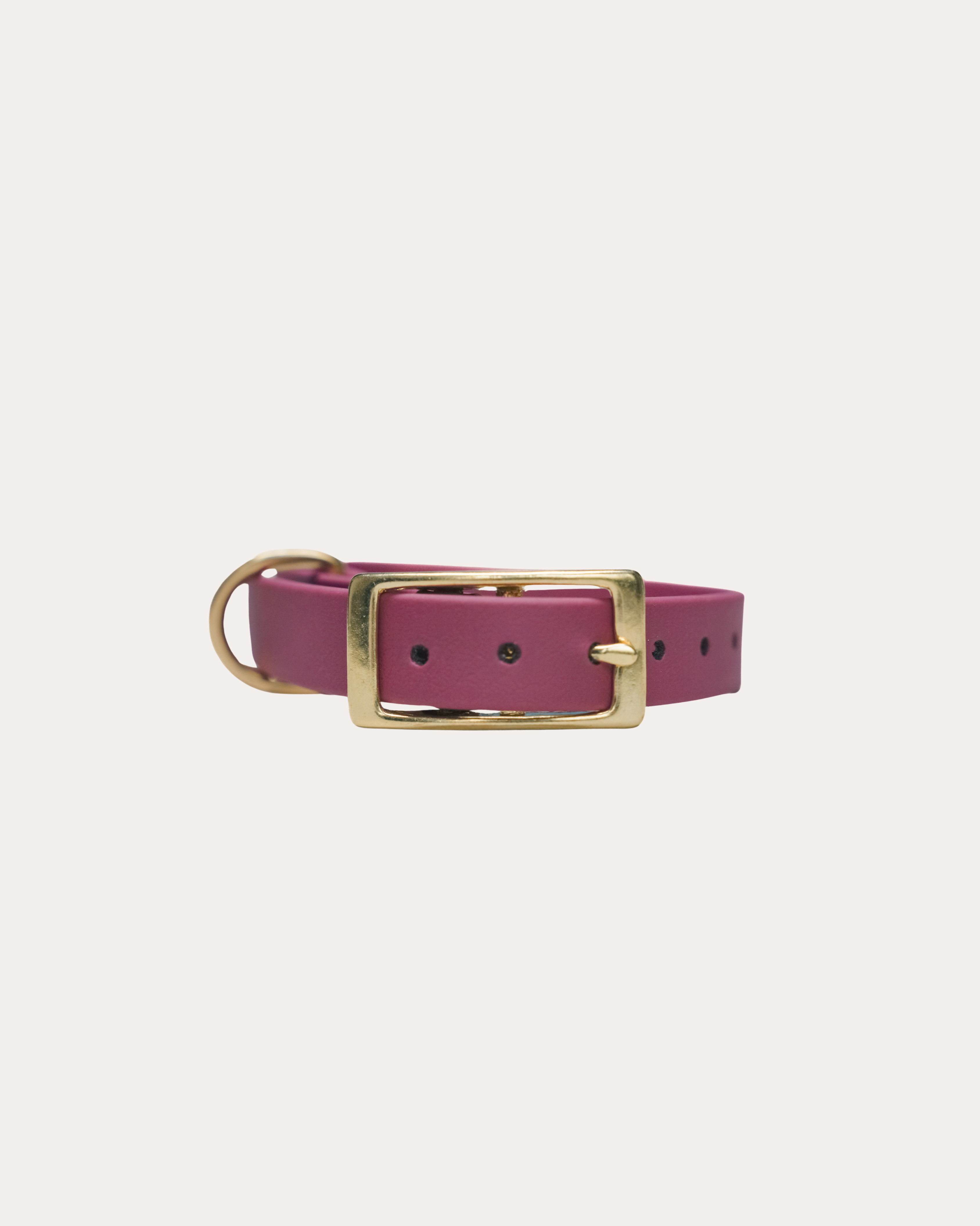 WINE RED | HONDENHALSBAND | messing gesp