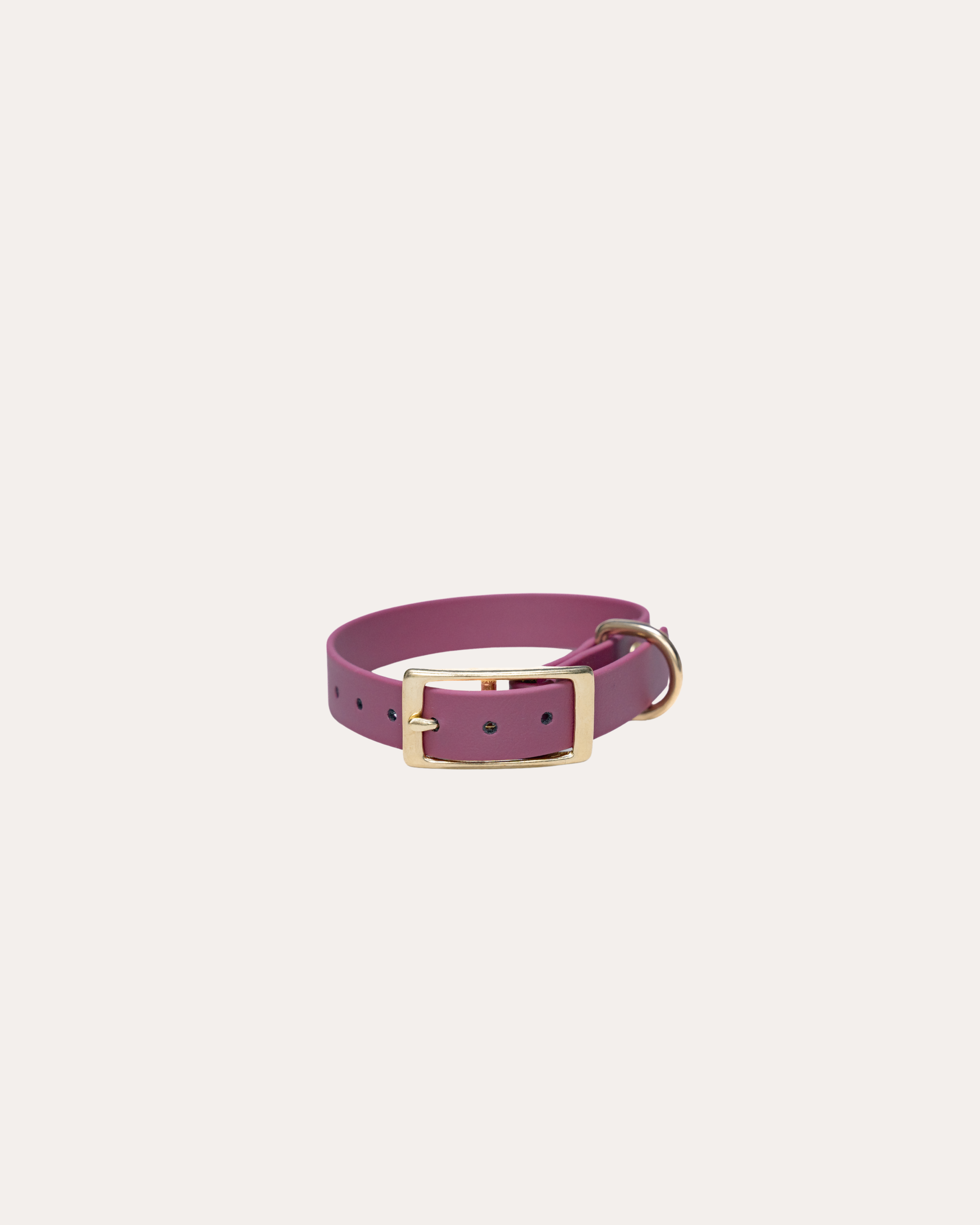 WINE RED | HONDENHALSBAND | messing gesp
