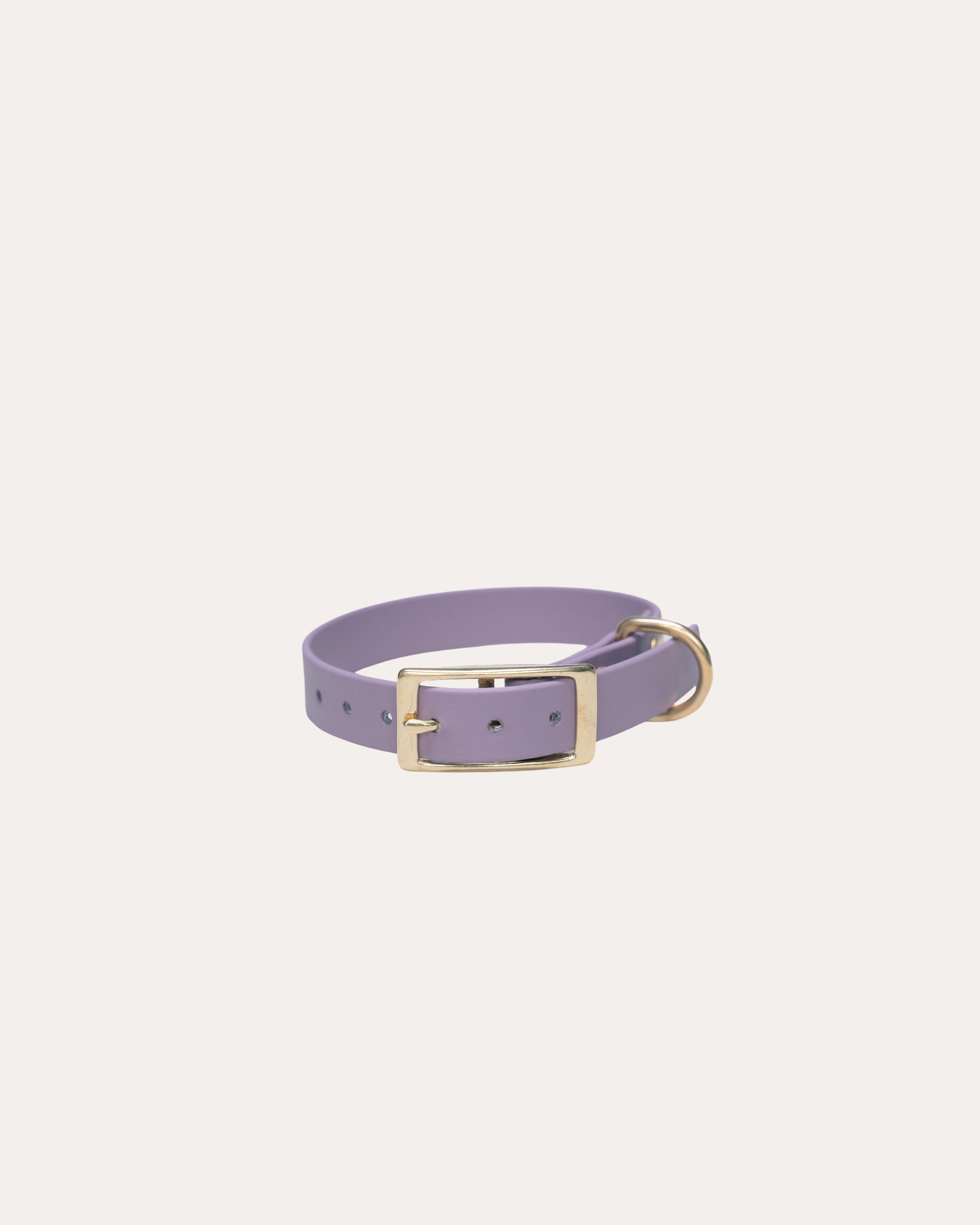 LIGHT PURPLE | HONDENHALSBAND | messing gesp