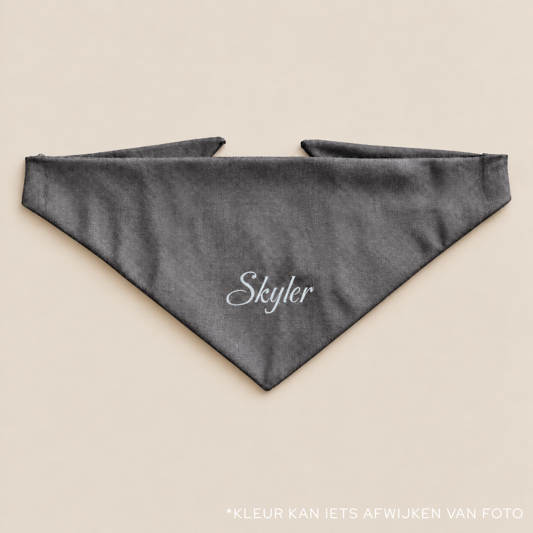 Gepersonaliseerde Denim Hondenbandana met Naam | punq