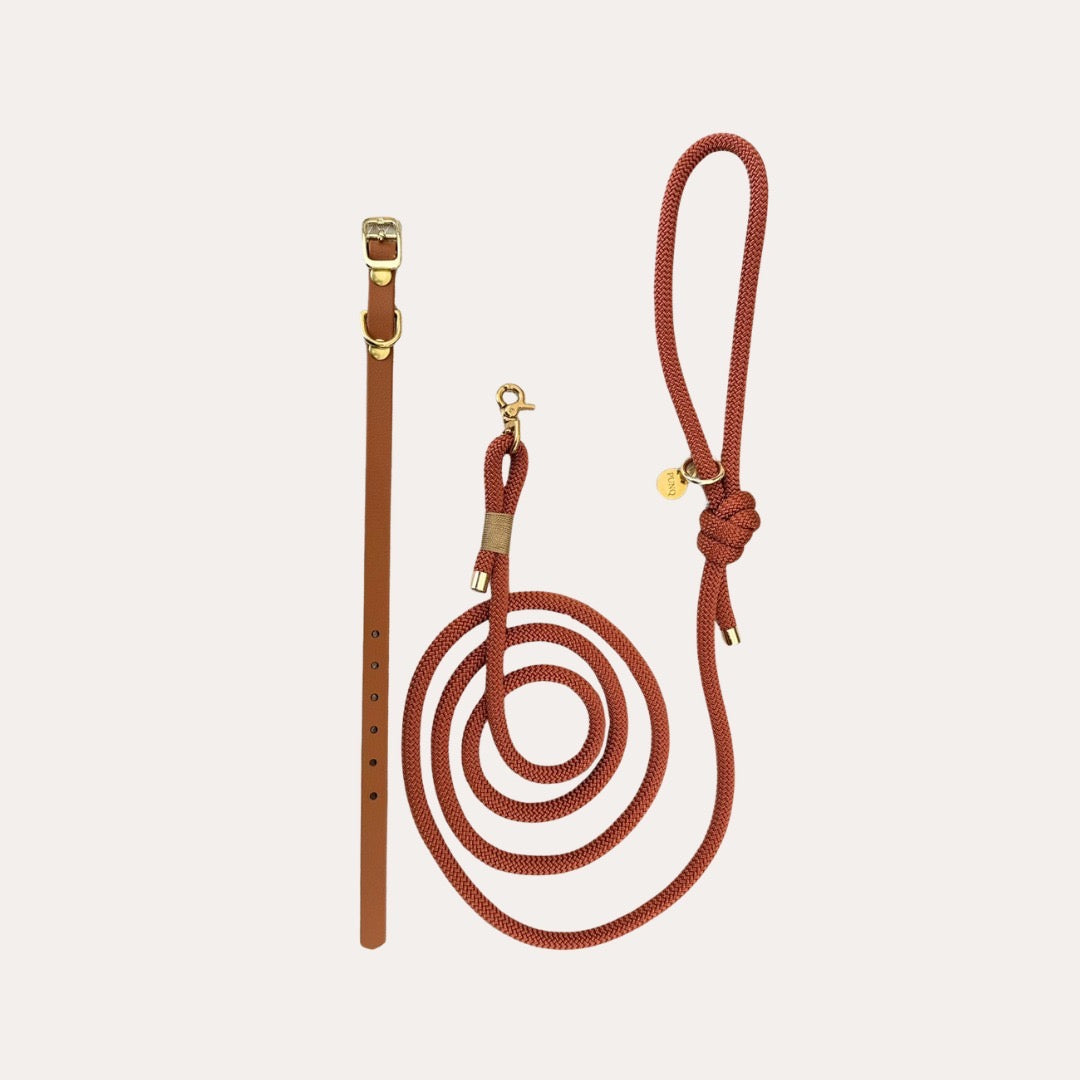 Bundel Puppy | Halsband, Riem & Cadeaubon | punq