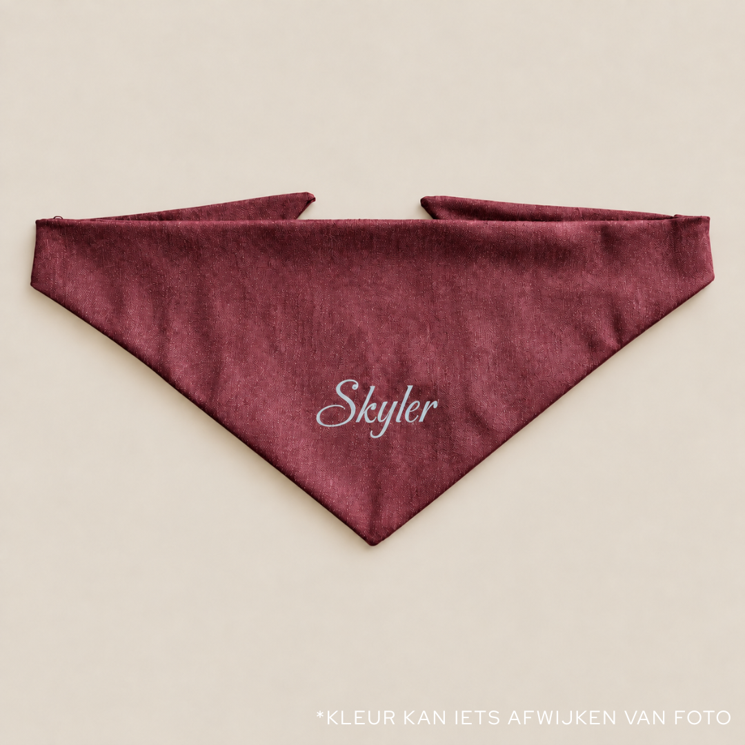 Gepersonaliseerde Denim Hondenbandana met Naam | punq