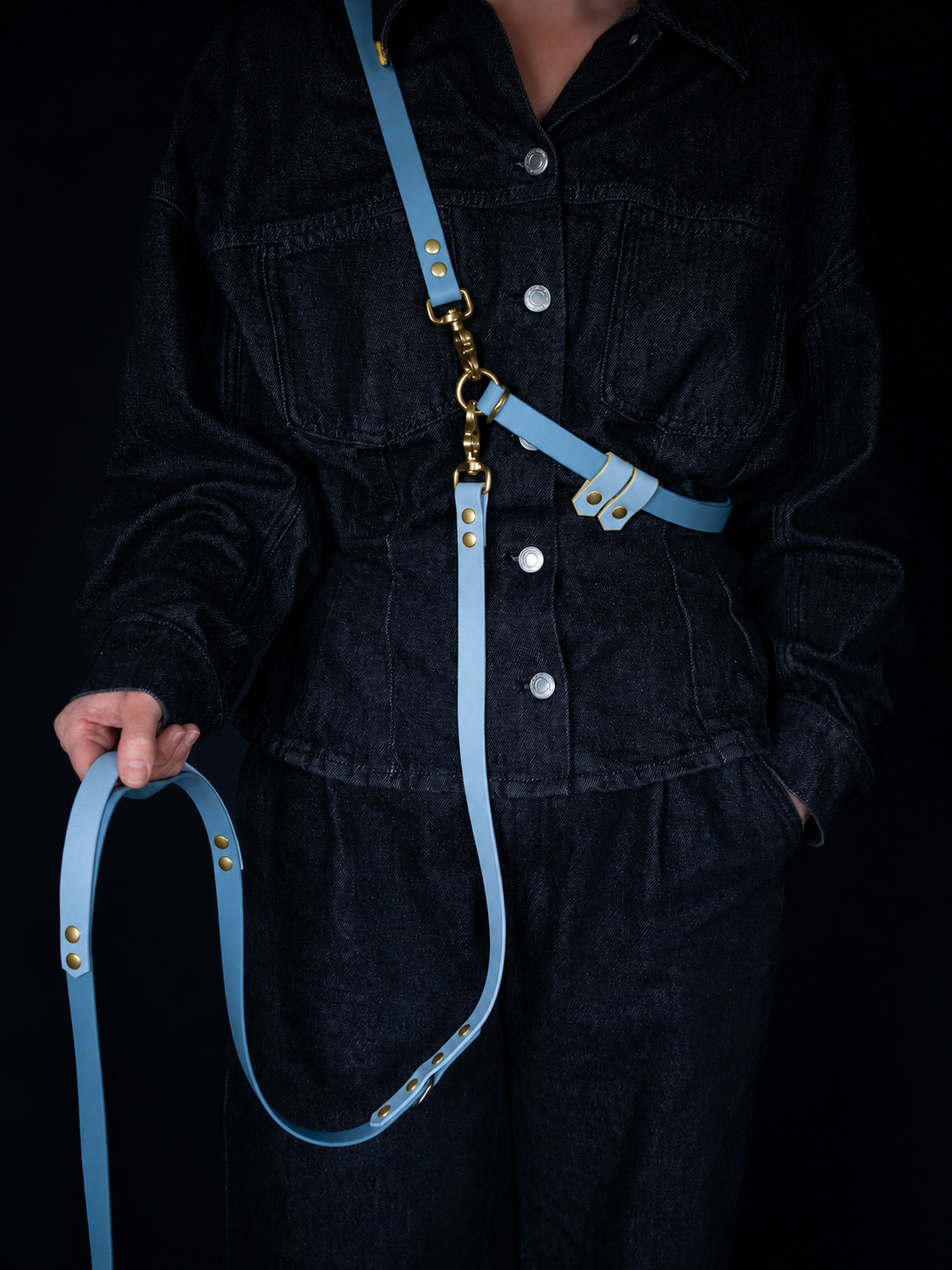 Hands-free Dog Leash | punq