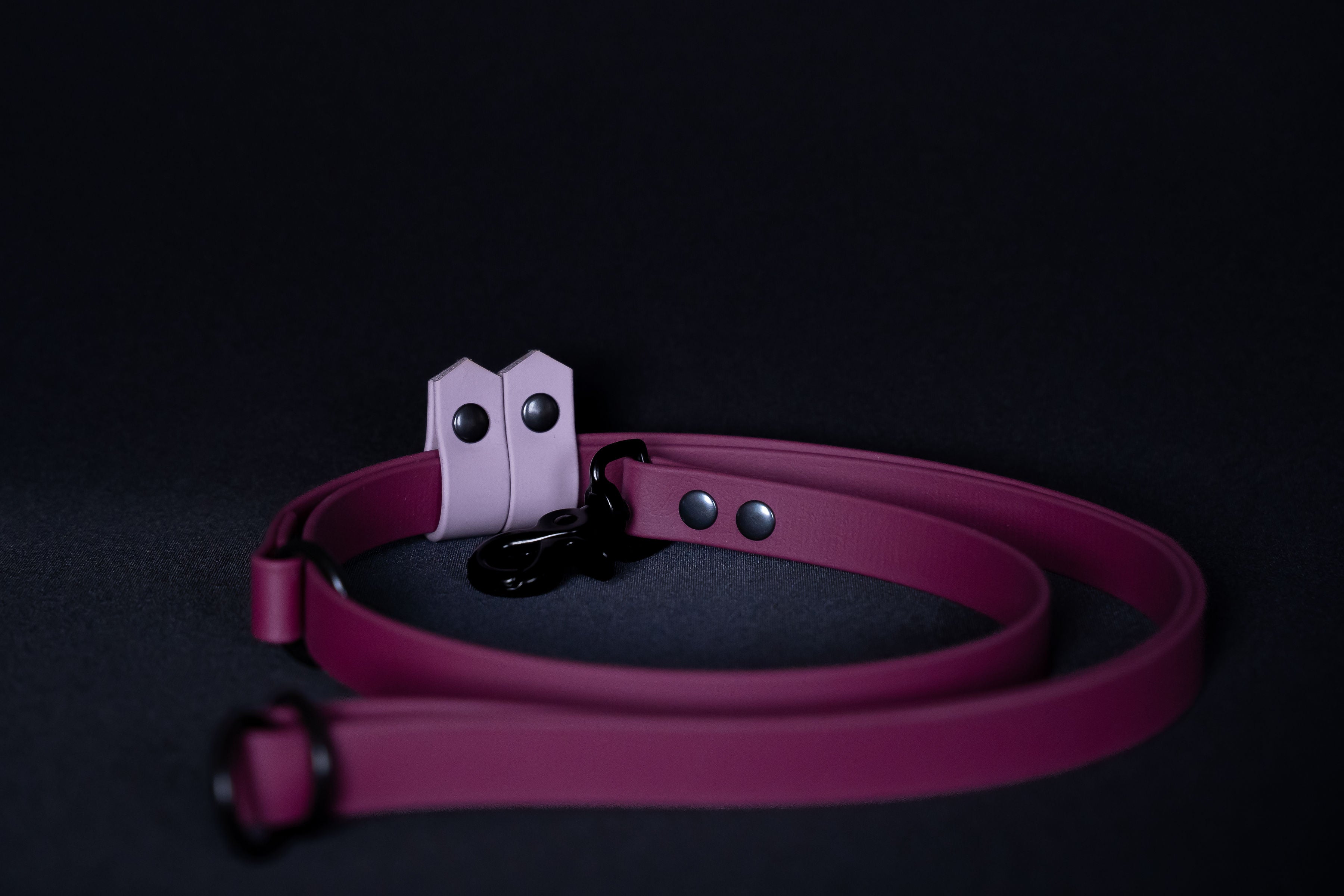 Hands-free Dog Leash | punq