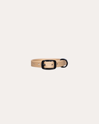 Puppy Halsband Hond | punq