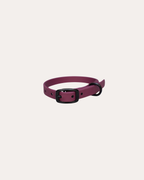Puppy Halsband Hond | punq
