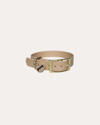 Bundle | Dog Collar and Hands-free Leash | punq