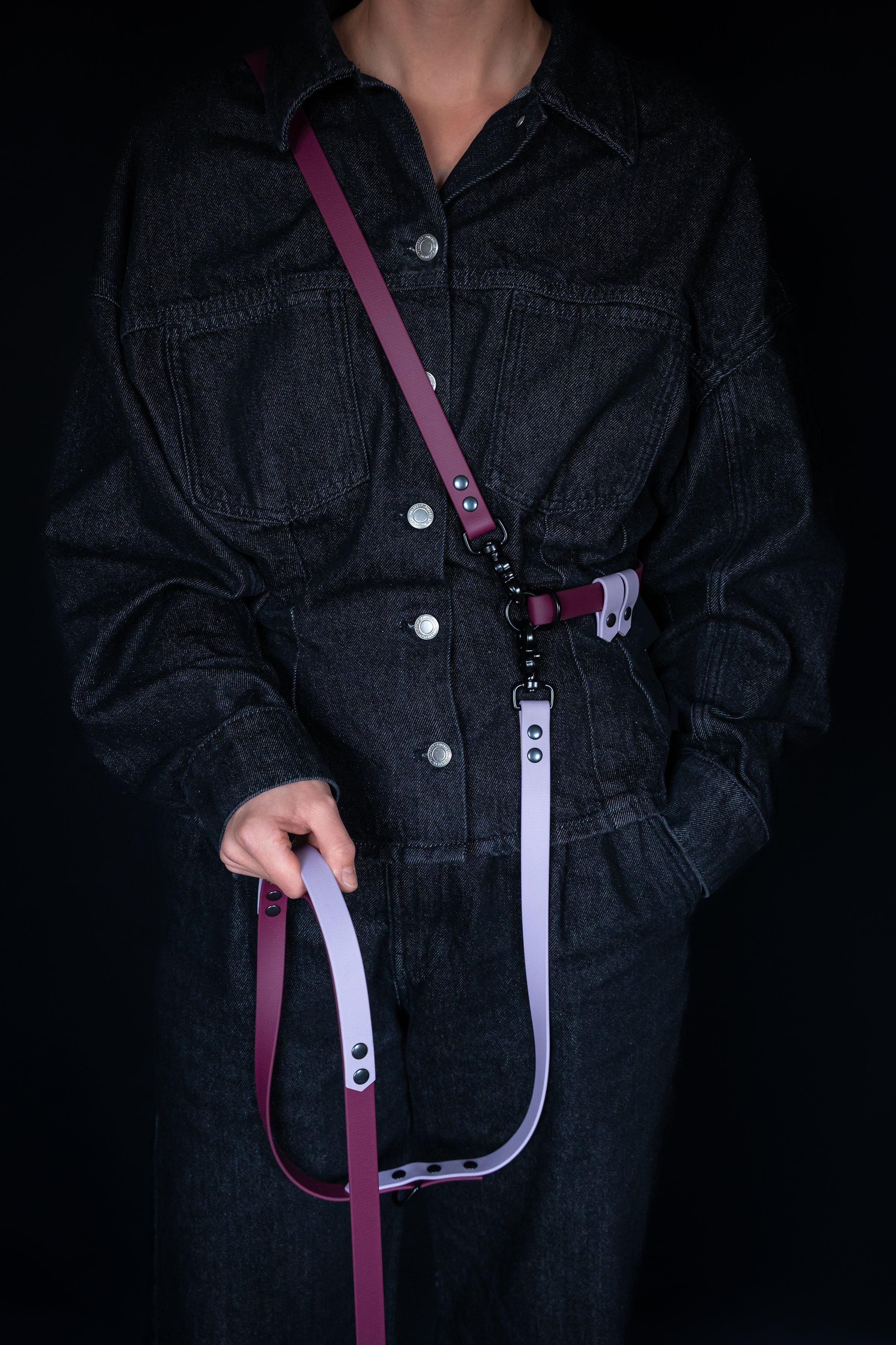 Hands-free Dog Leash | punq