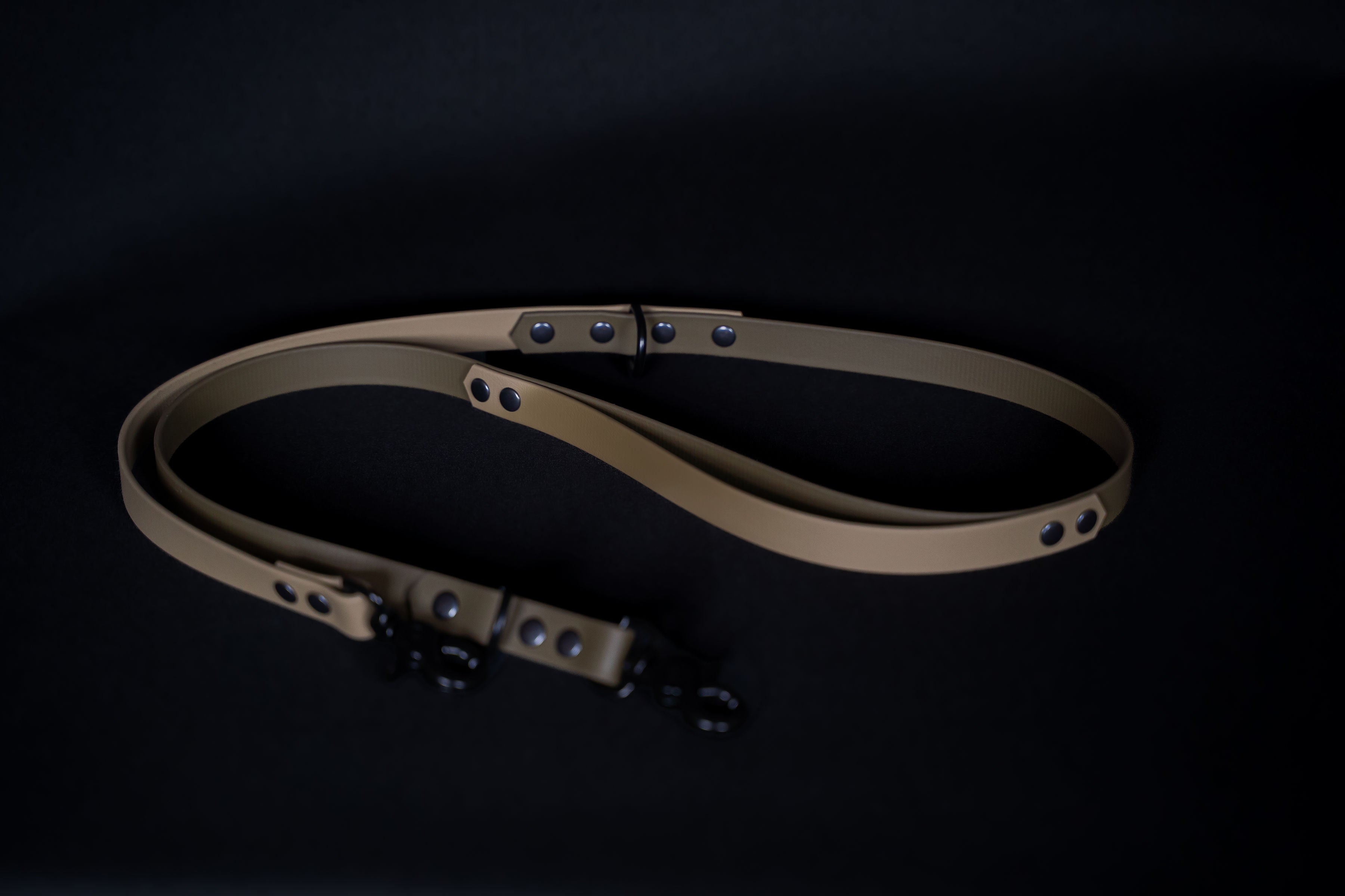 Hands-free Dog Leash | punq