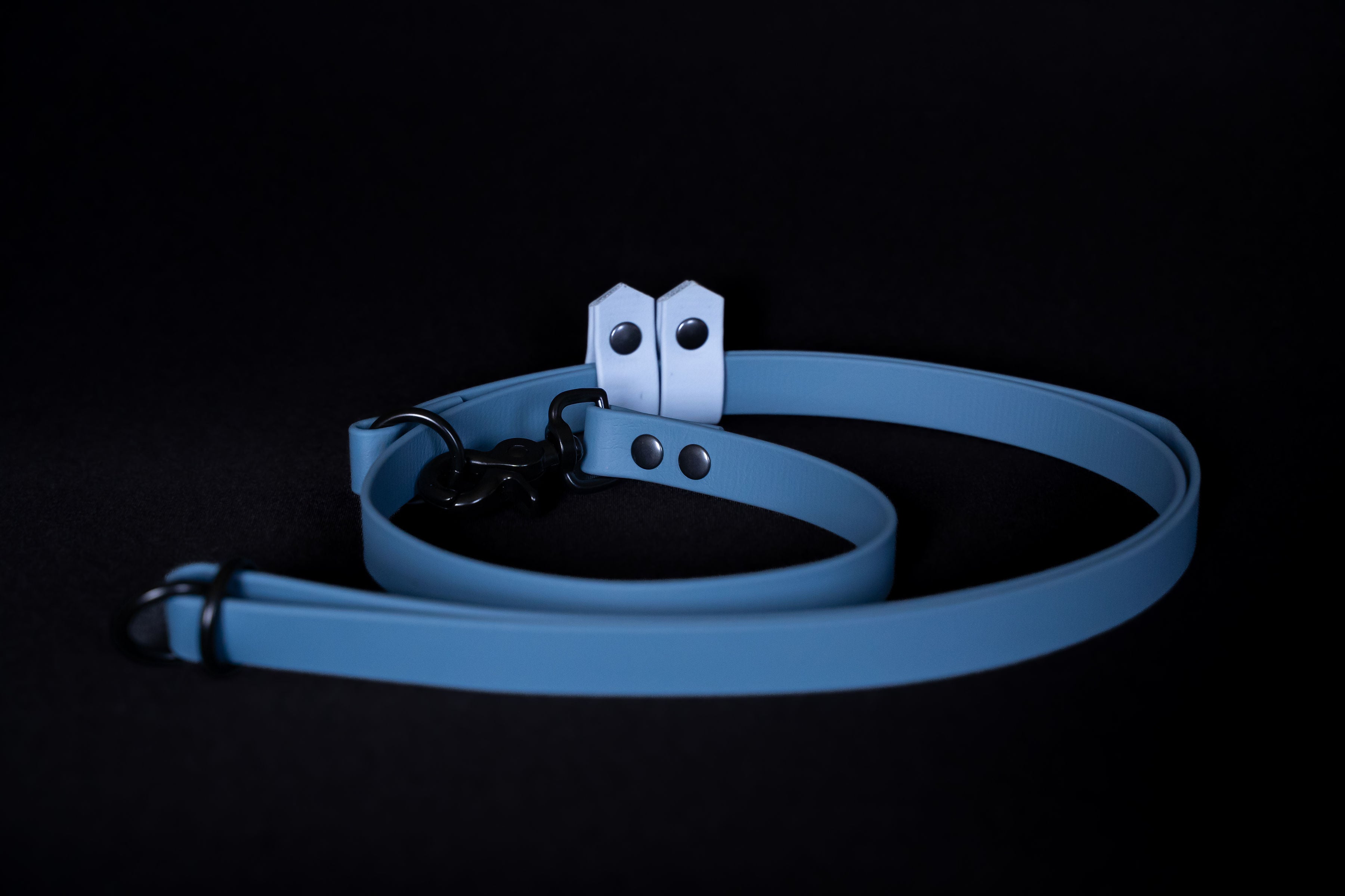 Hands-free Dog Leash | punq