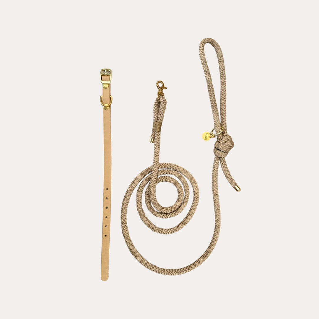 Bundel Puppy | Halsband, Riem & Cadeaubon | punq