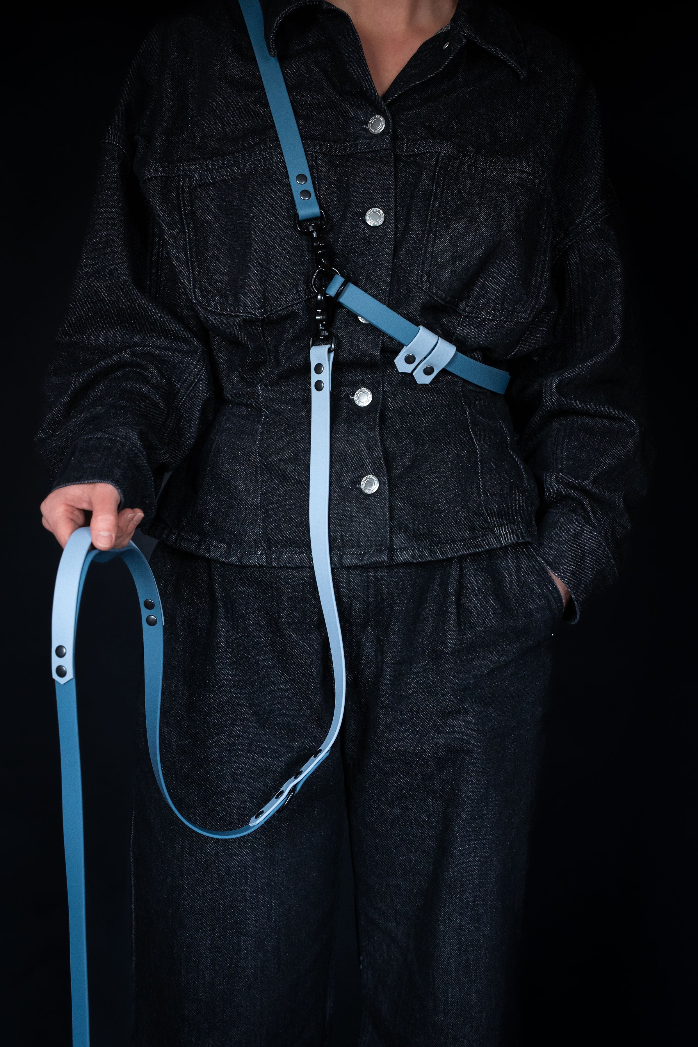 Hands-free Dog Leash | punq