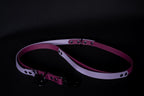 Hands-free Dog Leash | punq