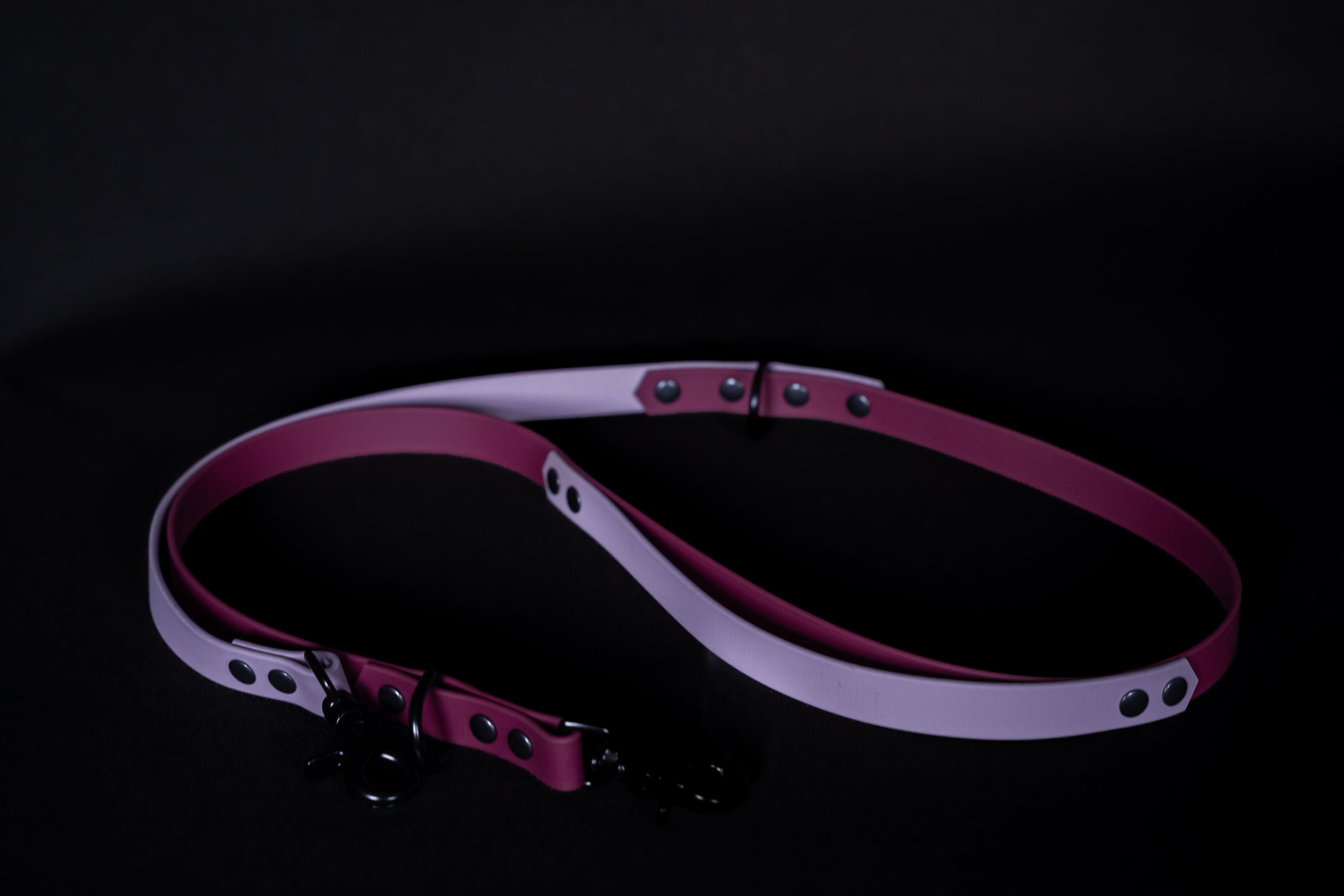 Hands-free Dog Leash | punq
