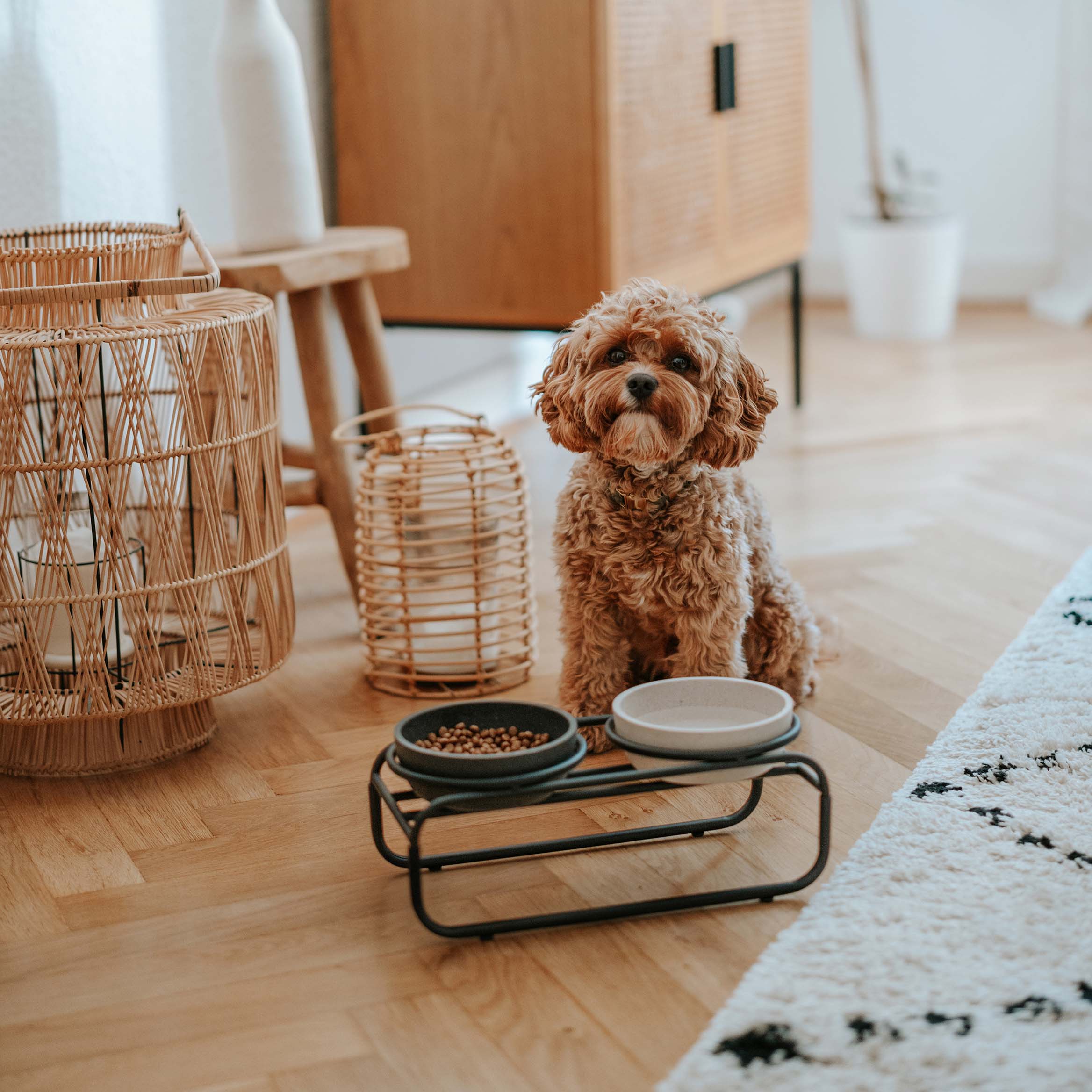 District 70 - BUTLER - Voerbak Standaard