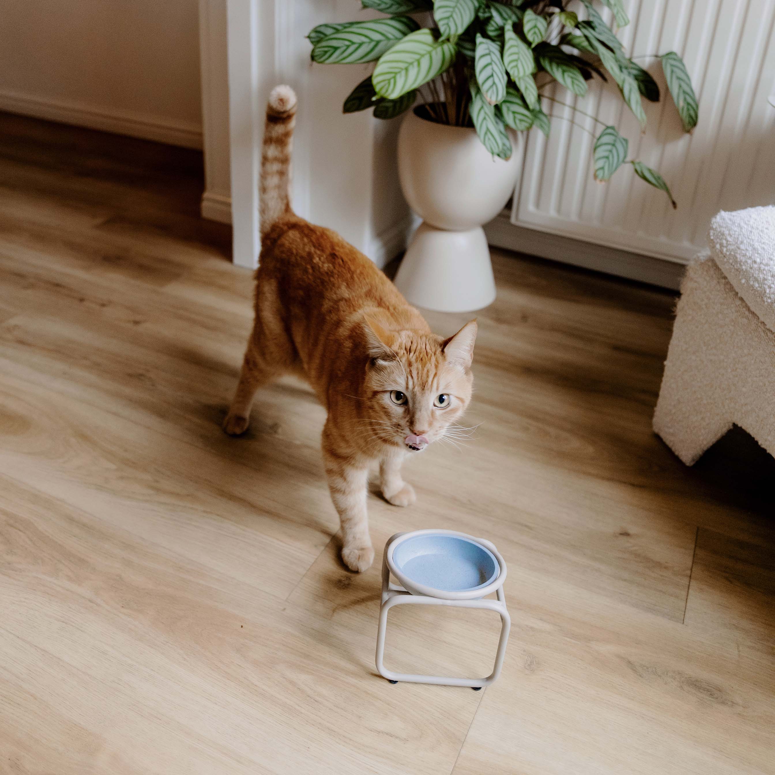 District 70 - BUTLER - Single Voerbak Standaard Kat