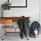 District 70 - CASA Cat Bed
