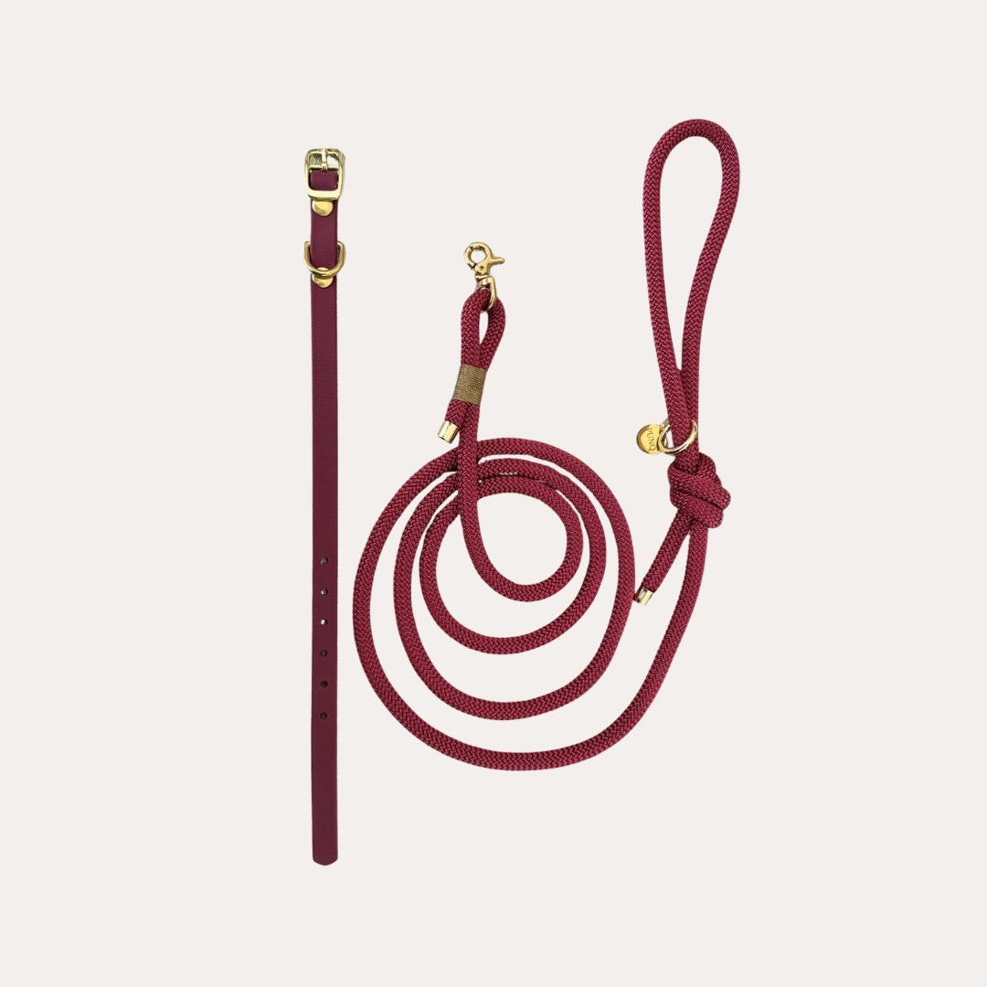 Bundel Puppy | Halsband, Riem & Cadeaubon | punq