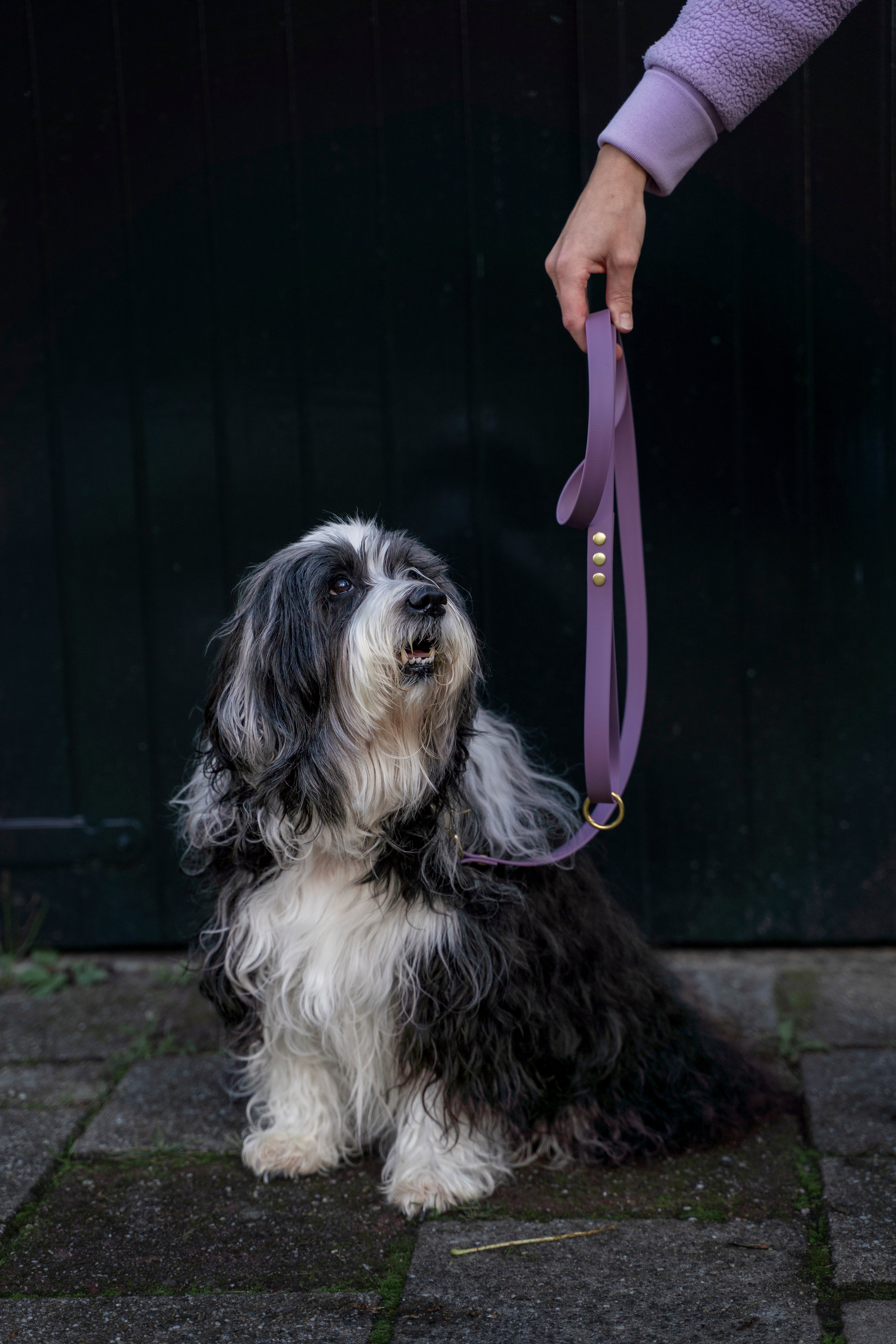 Standaard set LIGHT PURPLE | Messing