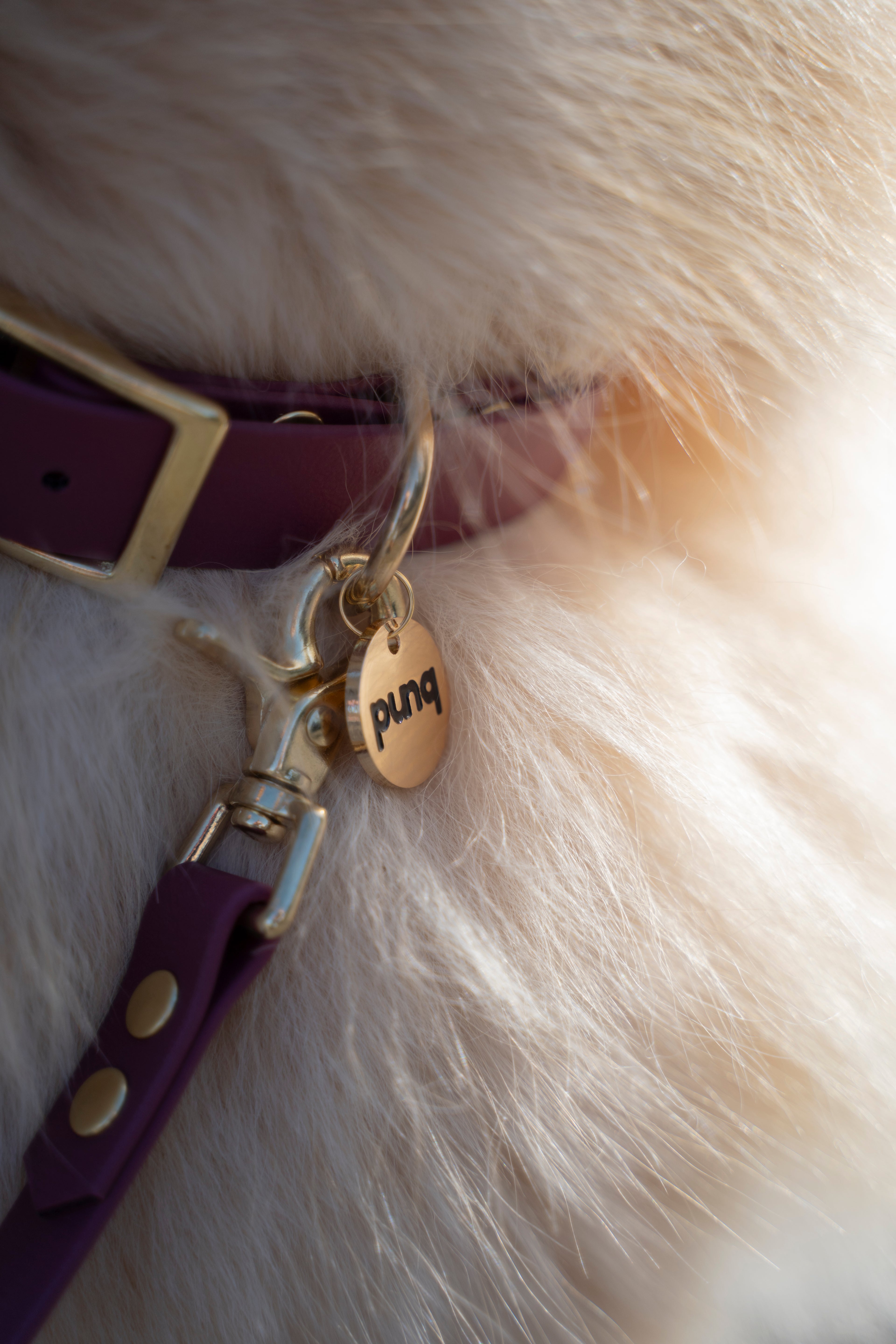 Close up van halsband van het merk punq in de kleur Wine Red