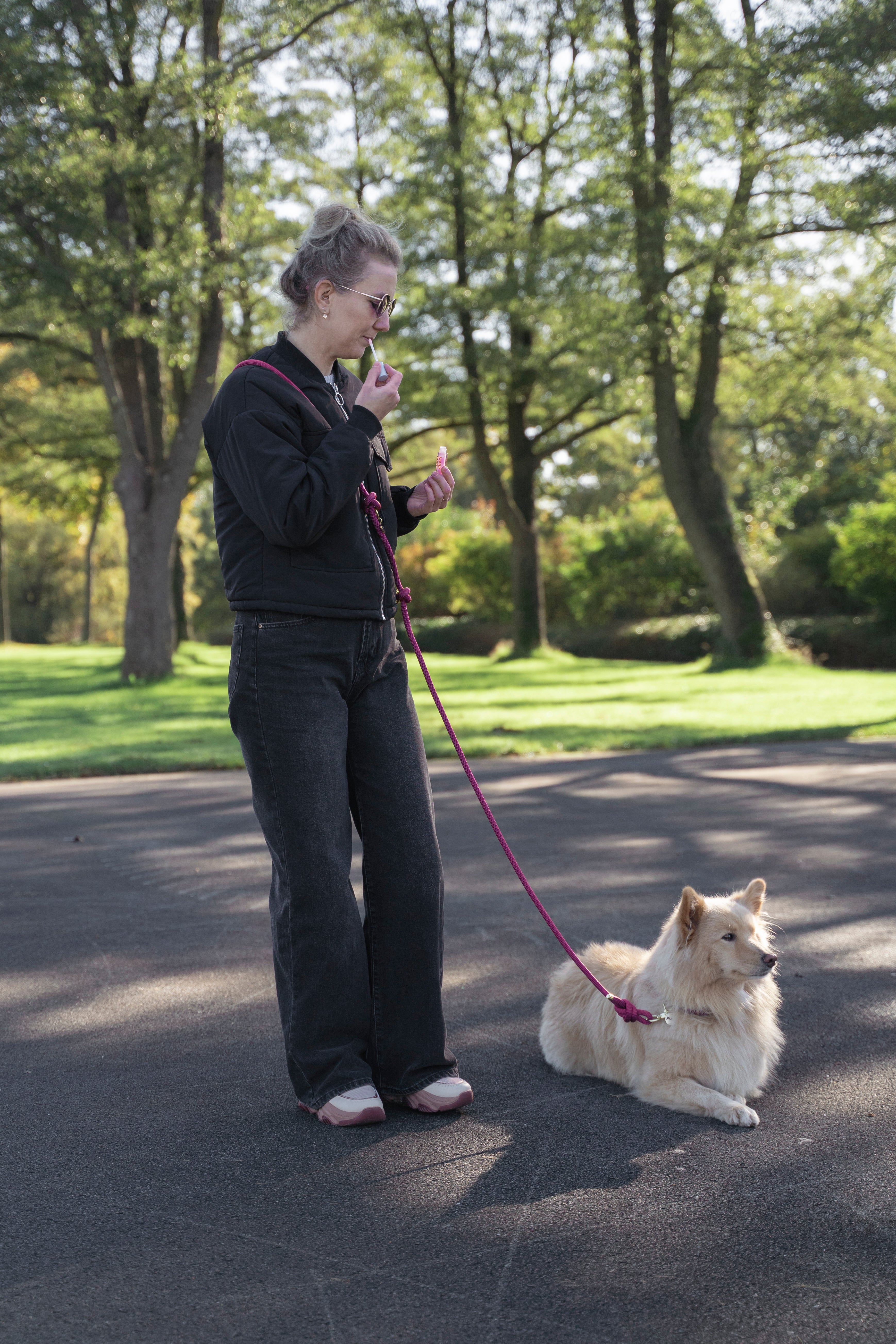 LIGHT PURPLE | MULTIFUNCTIONELE HANDSFREE HONDENLIJN | 250 cm | zwarte haken
