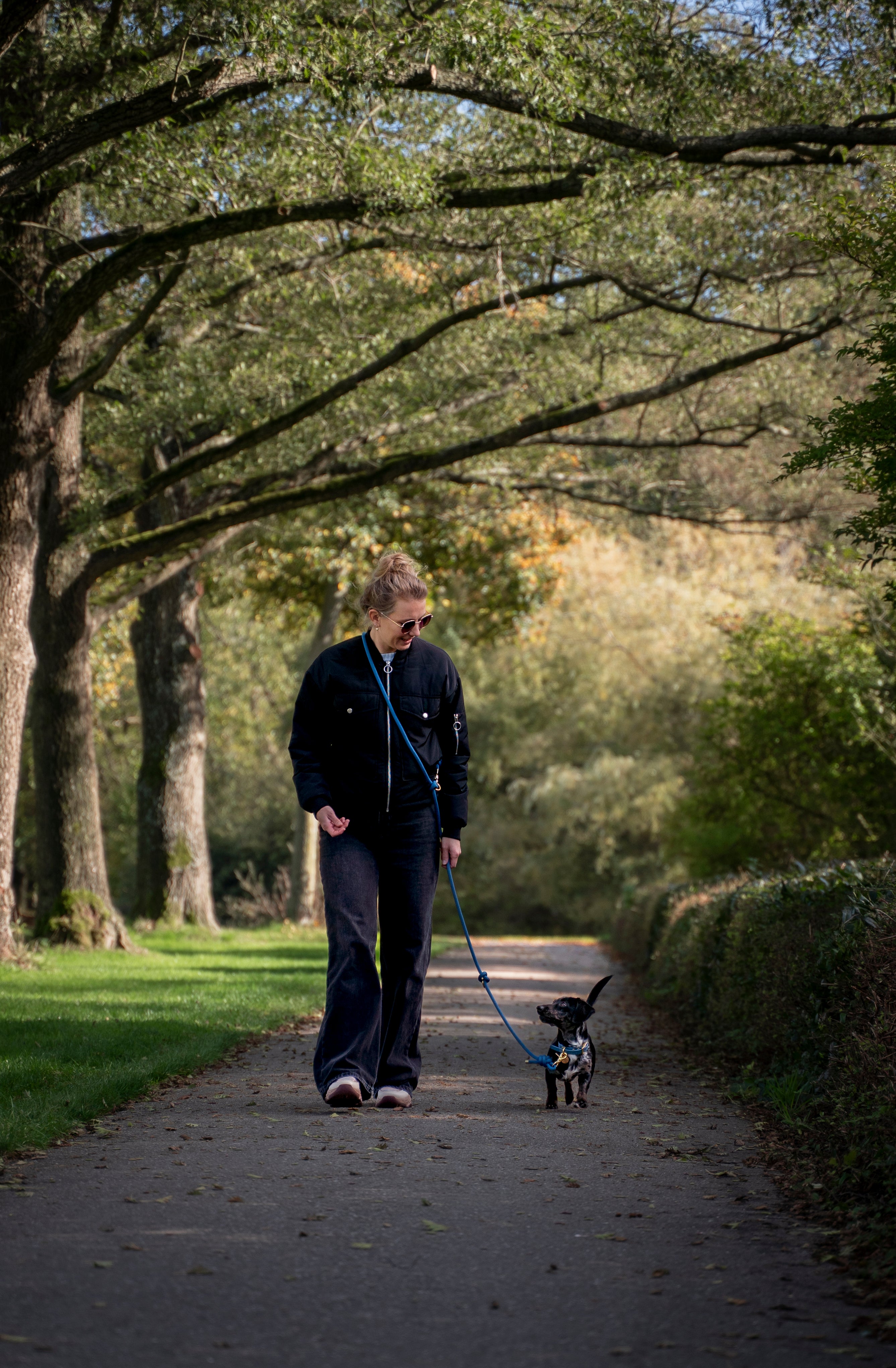 vrouw loopt met miniteckel aan een multifuctionele petrol blauwe riem en halsband van het merk punq