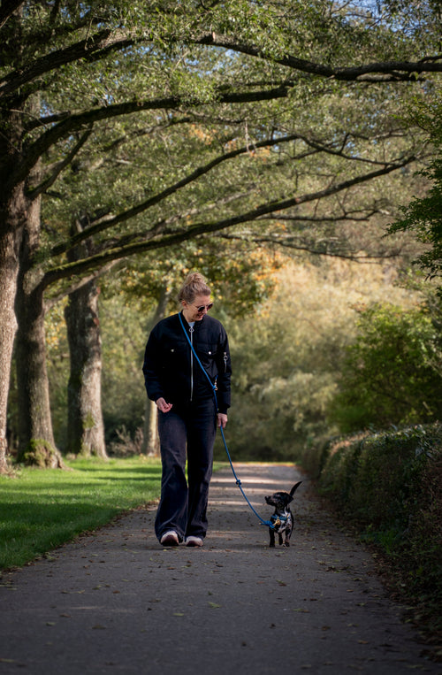 vrouw loopt met miniteckel aan een multifuctionele petrol blauwe riem en halsband van het merk punq