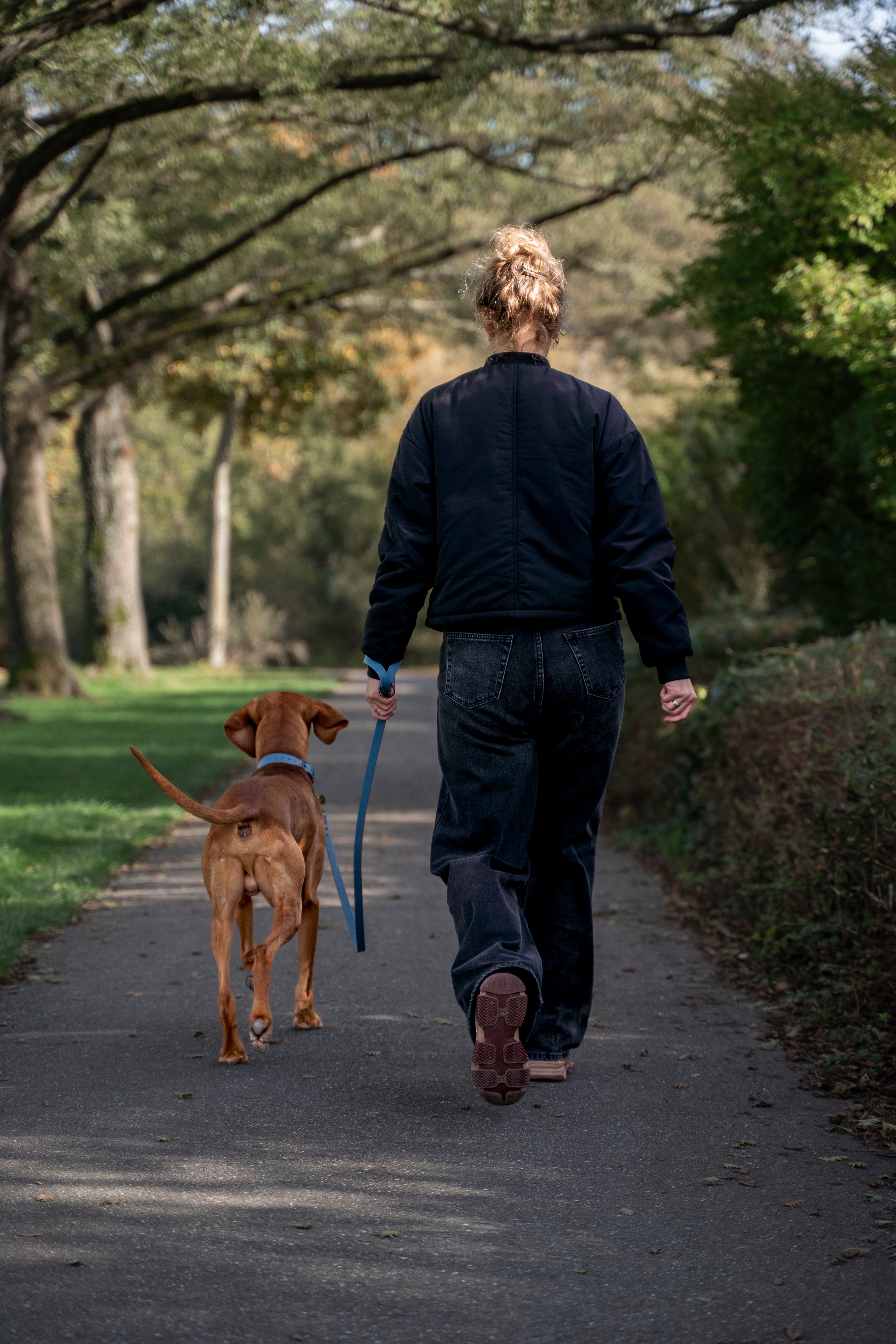 Vrouw loopt in park met Vizsla. De hond draagt een halsband en riem van het merk punq in de kleur Petrol Blue