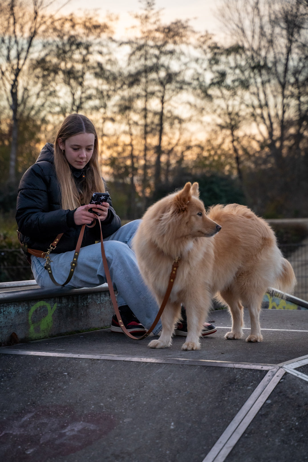 Hands-free Dog Leash | punq