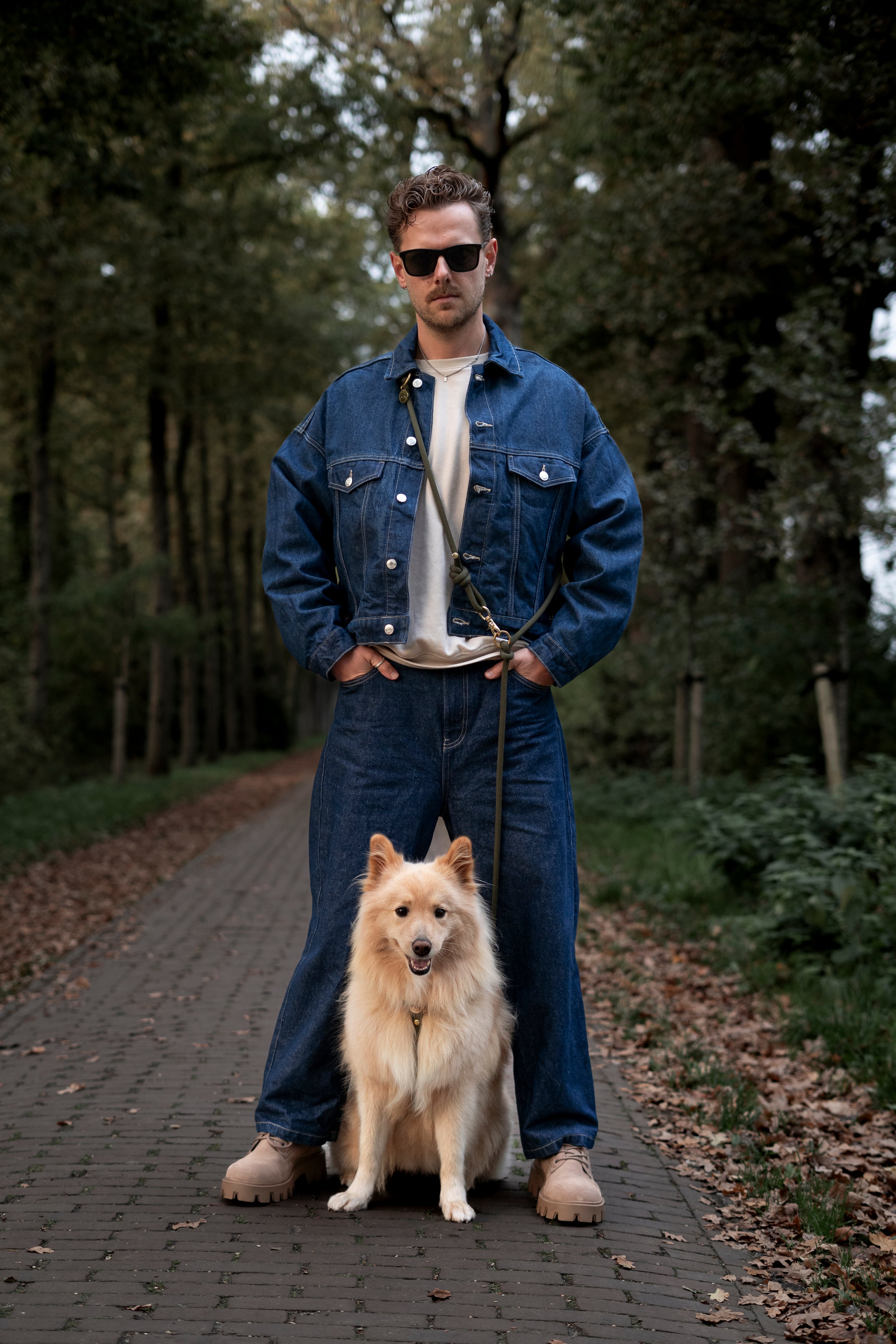 BEIGE | MULTIFUNCTIONELE HANDSFREE HONDENLIJN | 250 cm | messing haken