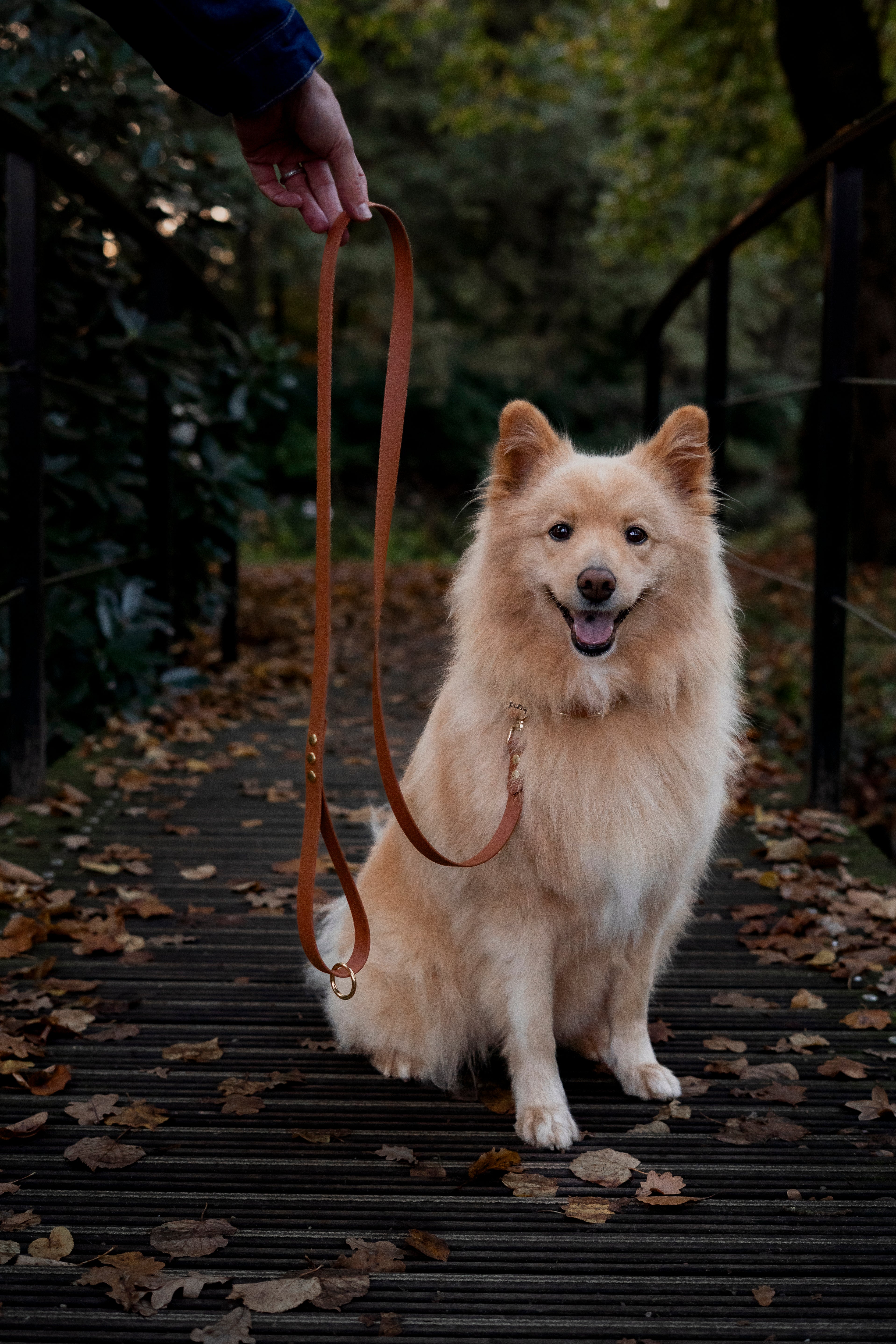 LIGHT BROWN | HONDENRIEM 150cm | messing haak