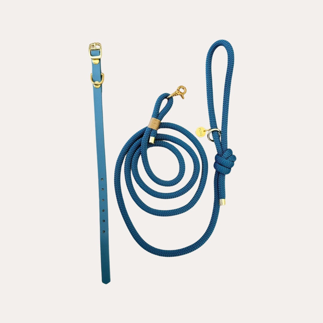 Bundel Puppy | Halsband, Riem & Cadeaubon | punq