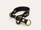 Martingale Biothane Hondenhalsband | punq