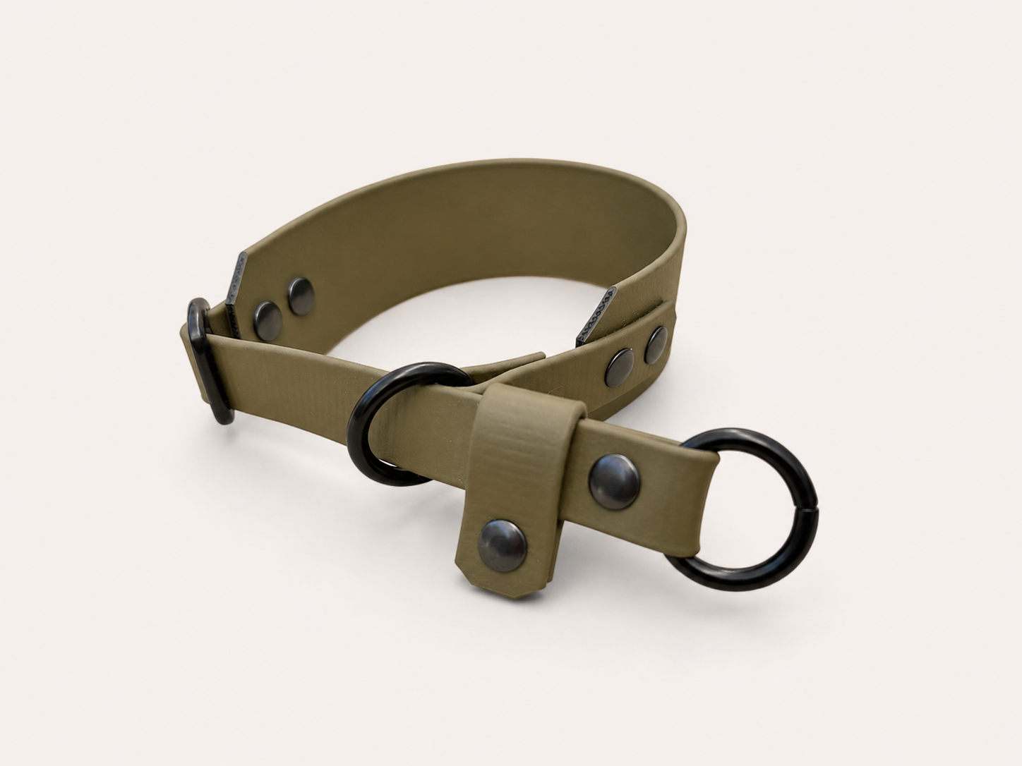 Martingale Dog Collar | punq