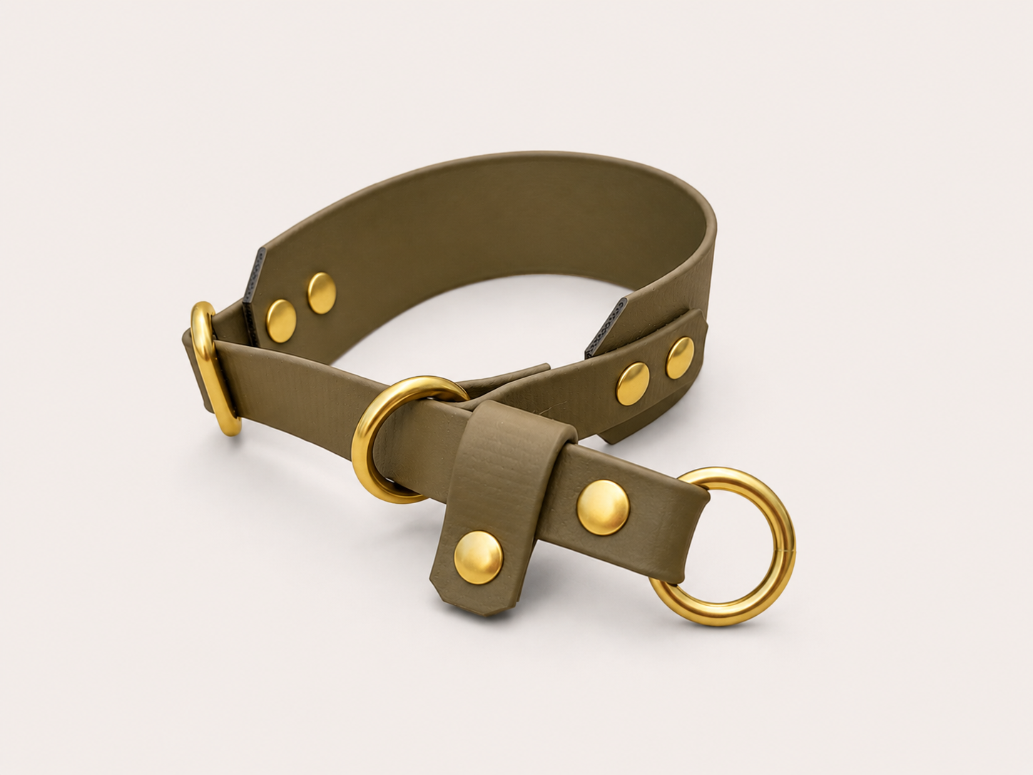 Martingale Dog Collar | punq