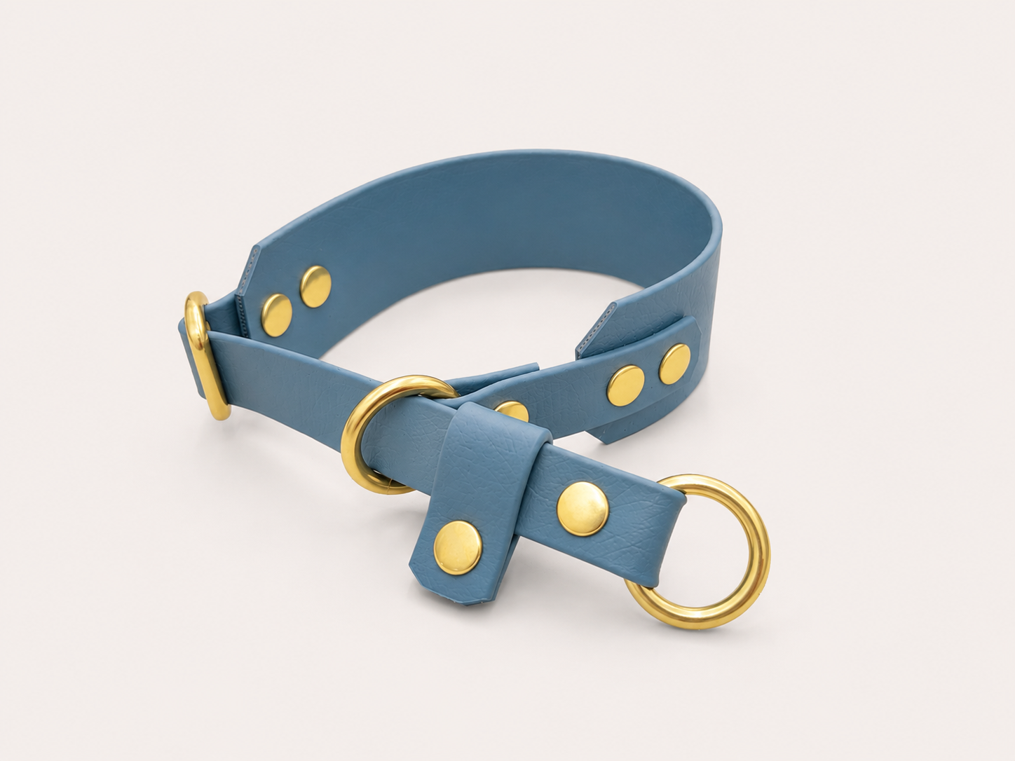 Martingale Dog Collar | punq
