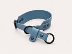Martingale Biothane Dog Collar | punq