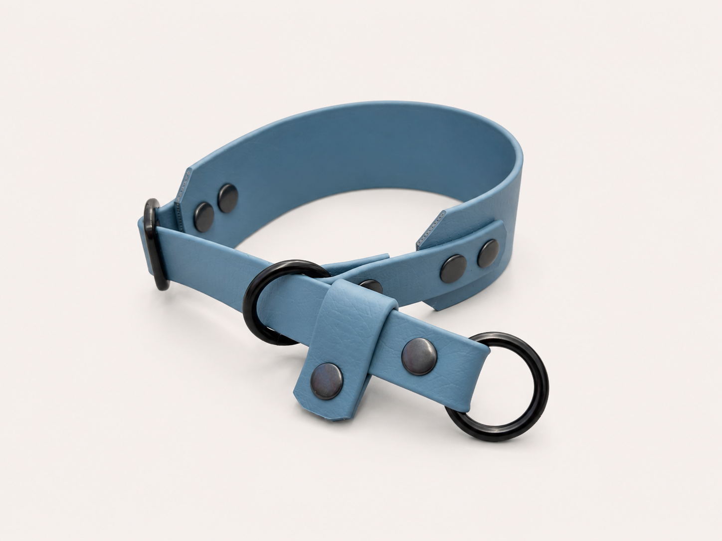 Martingale Dog Collar | punq