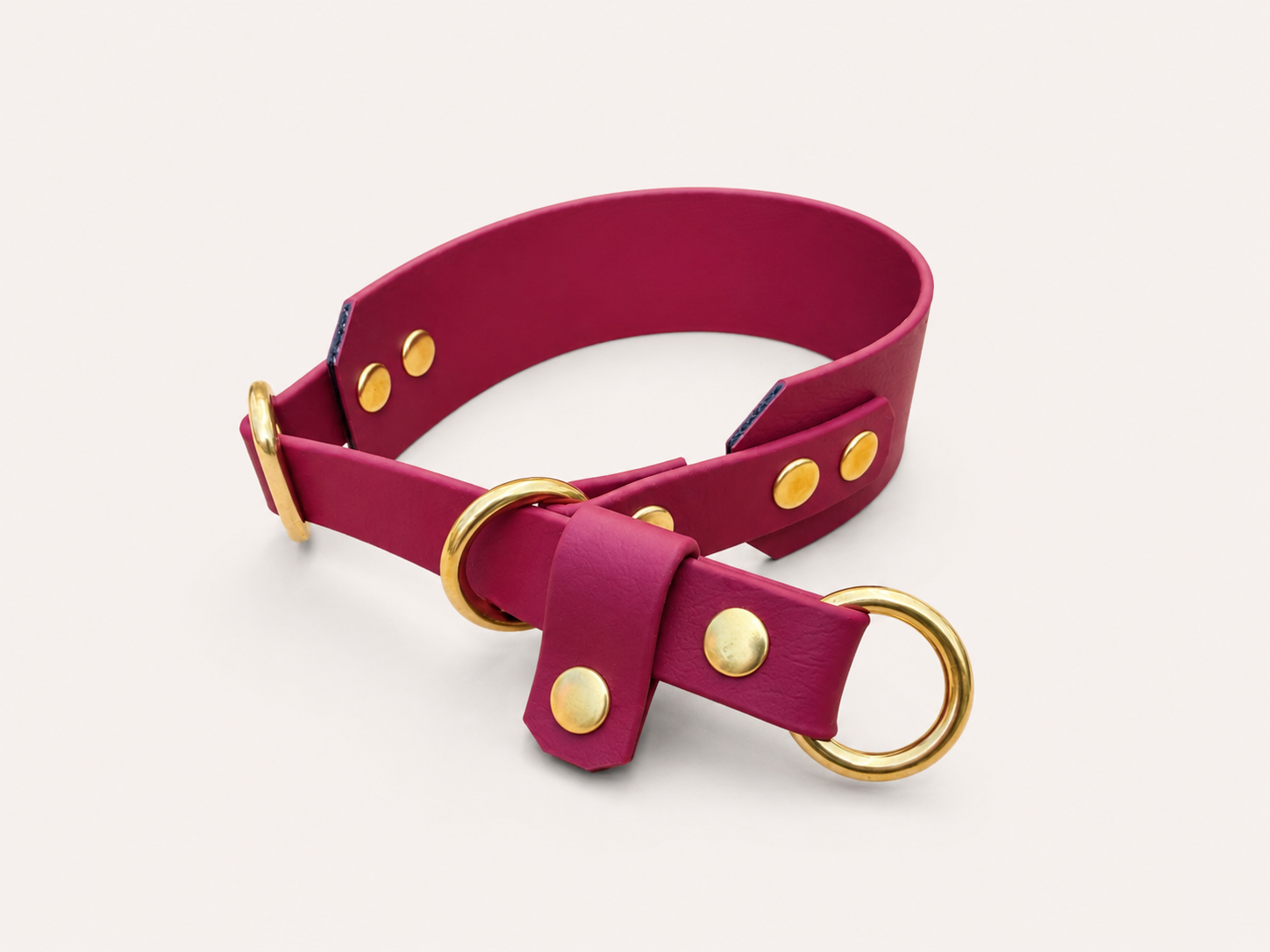 Martingale Dog Collar | punq