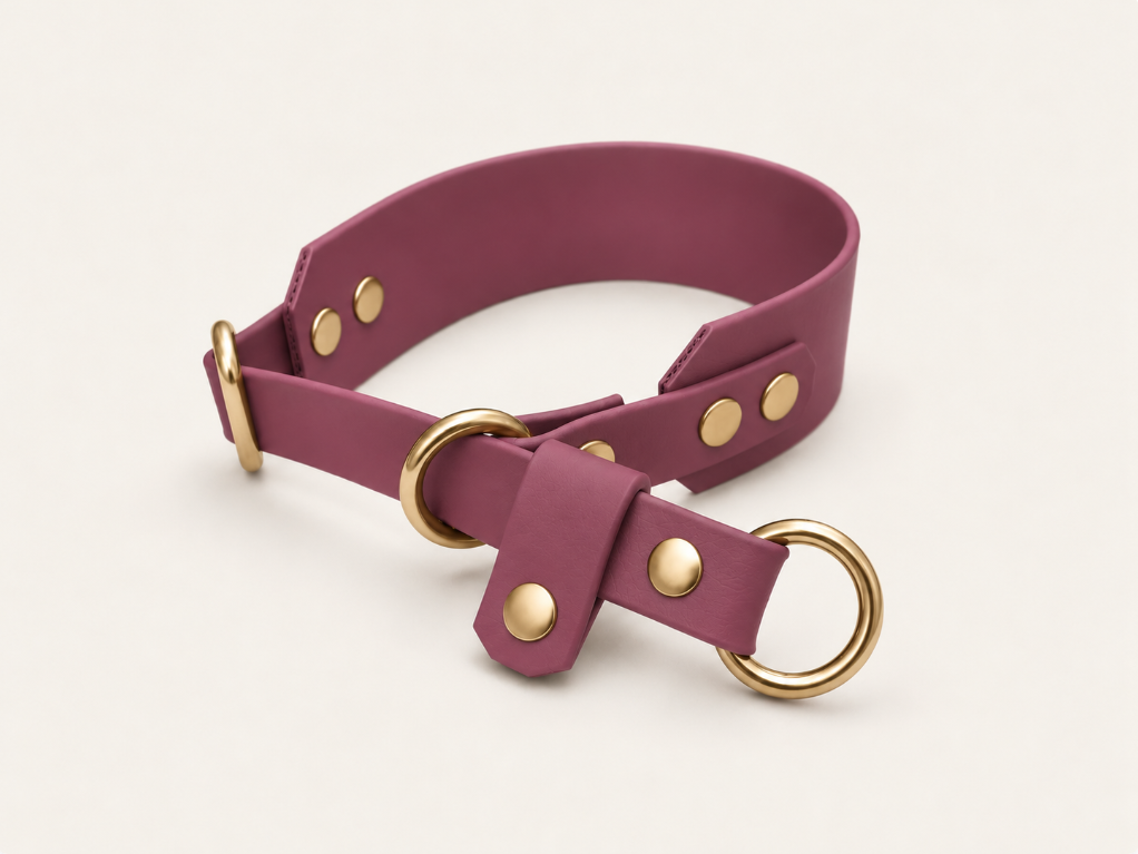 Martingale Biothane Hondenhalsband | punq