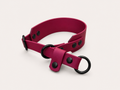 Martingale Biothane Hondenhalsband | punq